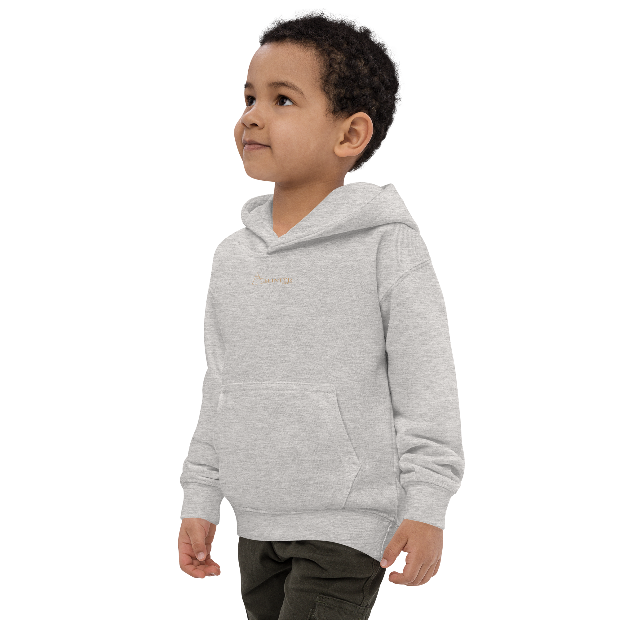 kids-hoodie-heather-grey-left-front-636d16dde0d29.png