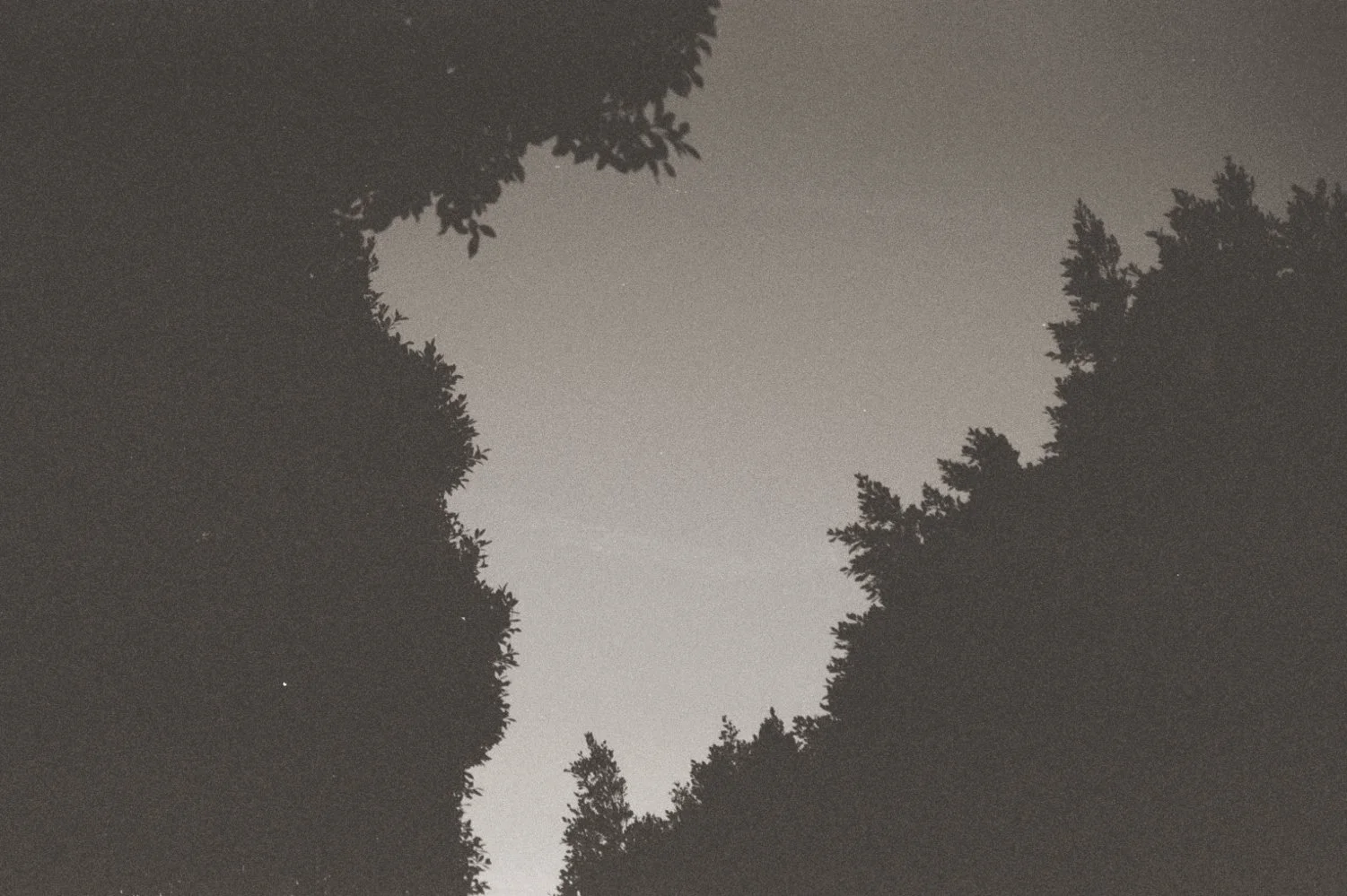 1323AA034.jpg