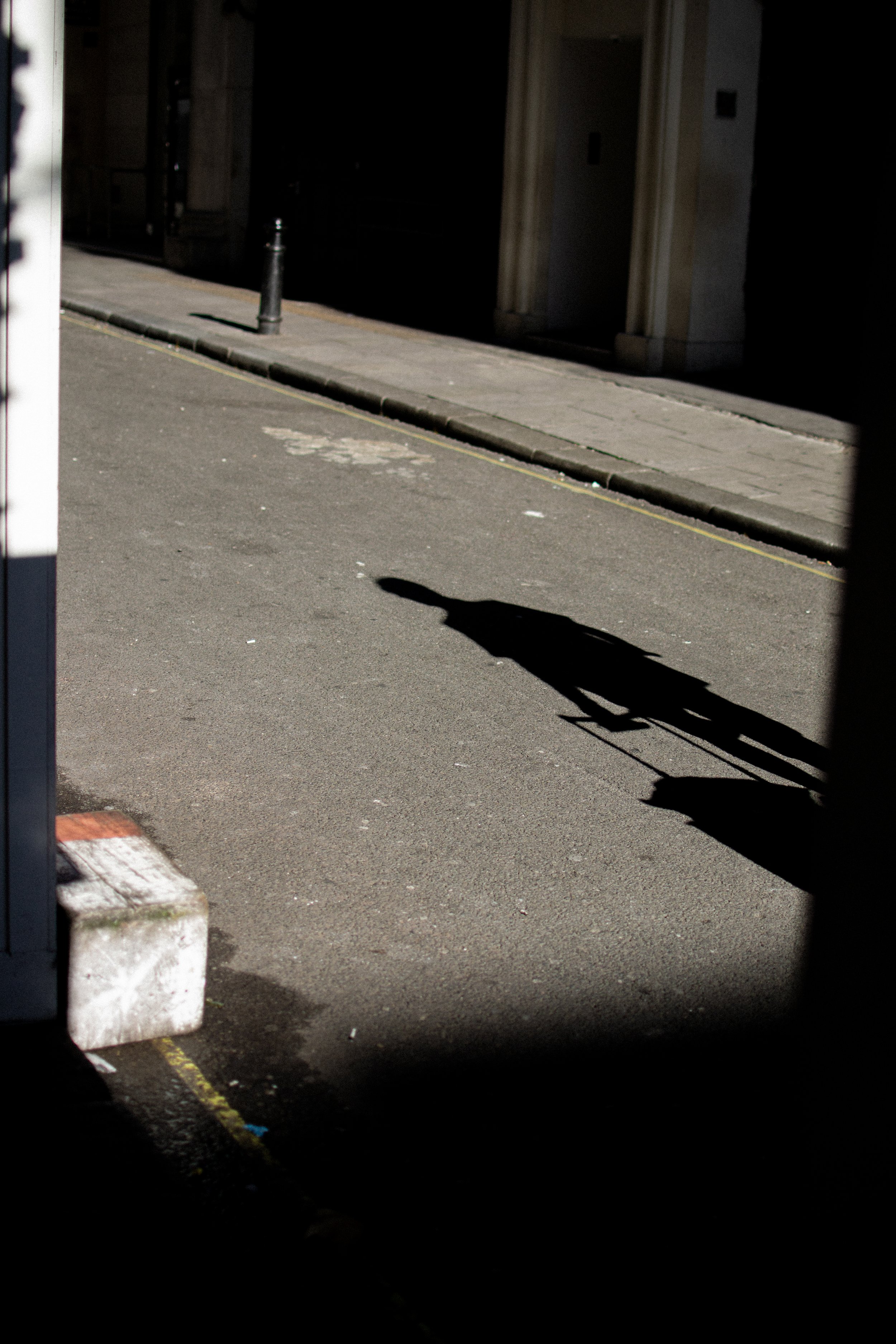 DSC_0367.jpg