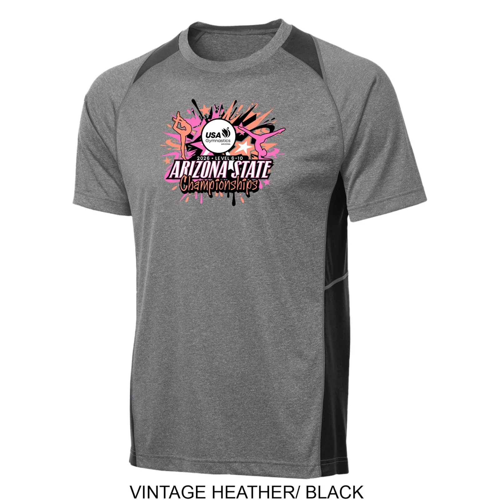 2026 Arizona Level 6-10 State Championships Color Block T-Shirt