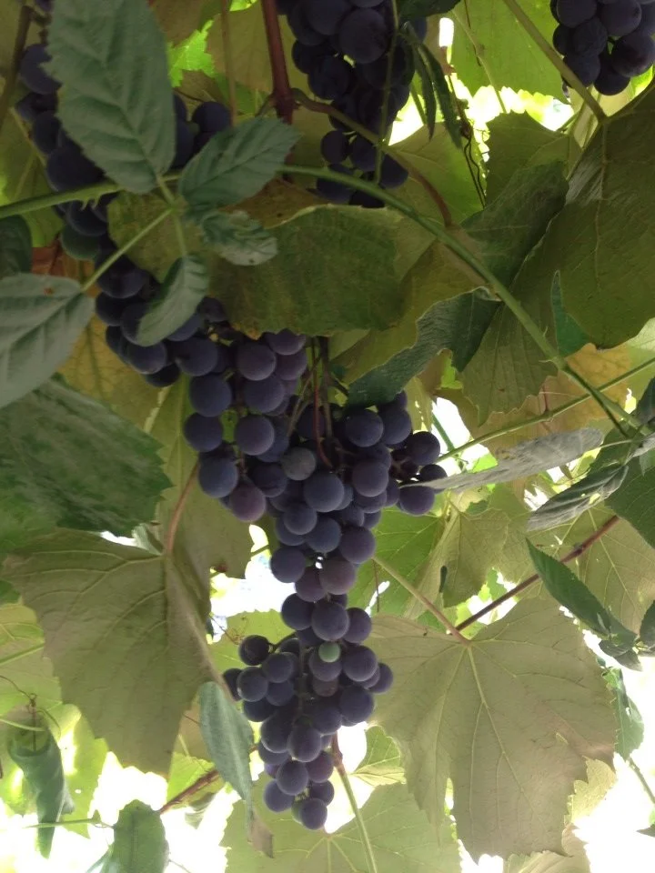 Apart from Me you can do nothing…