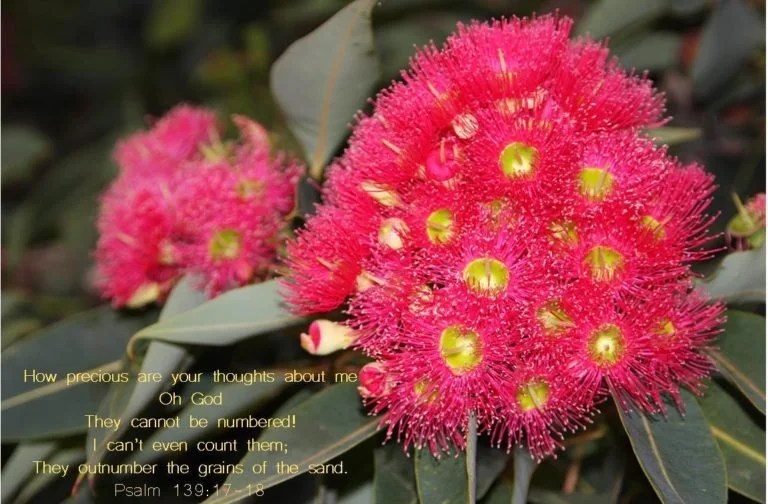 Someone is thinking about you!