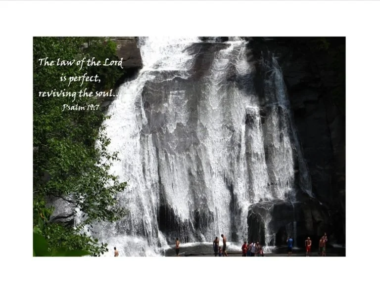 Be refreshed and revived!