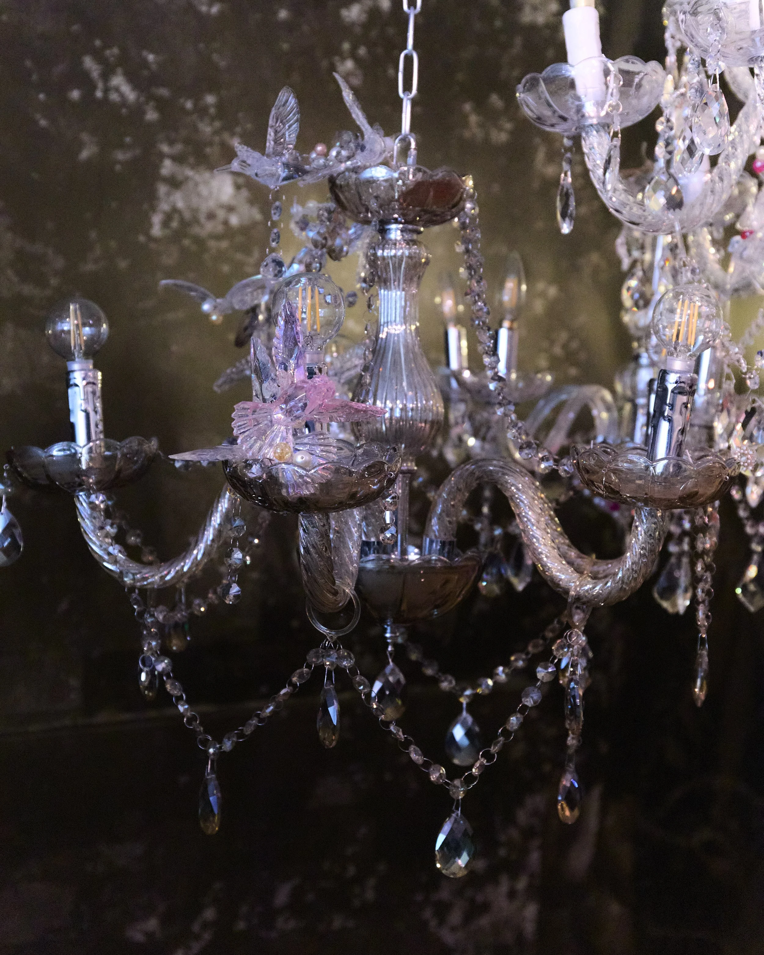 DAC_Installation_2026_CARLOS HERNANDEZ 2025_007.jpg