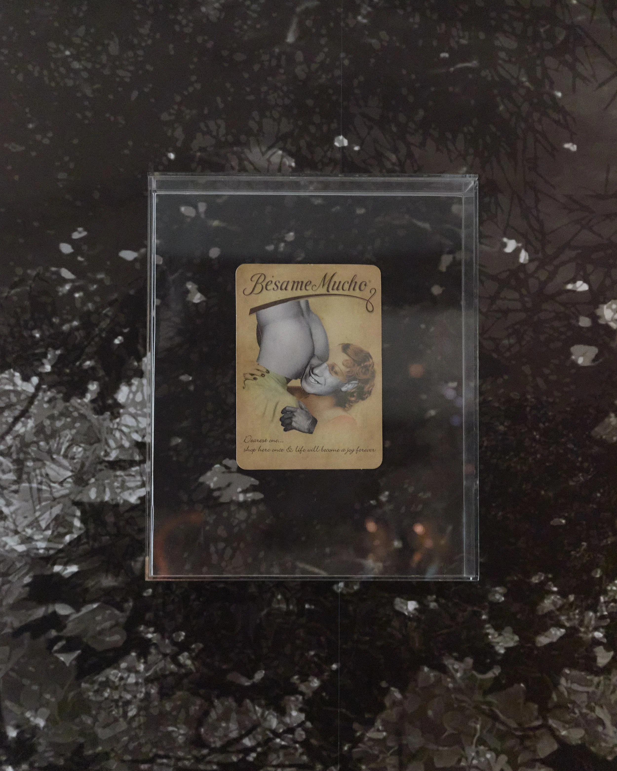 DAC_Installation_2026_CARLOS HERNANDEZ 2025_009.jpg