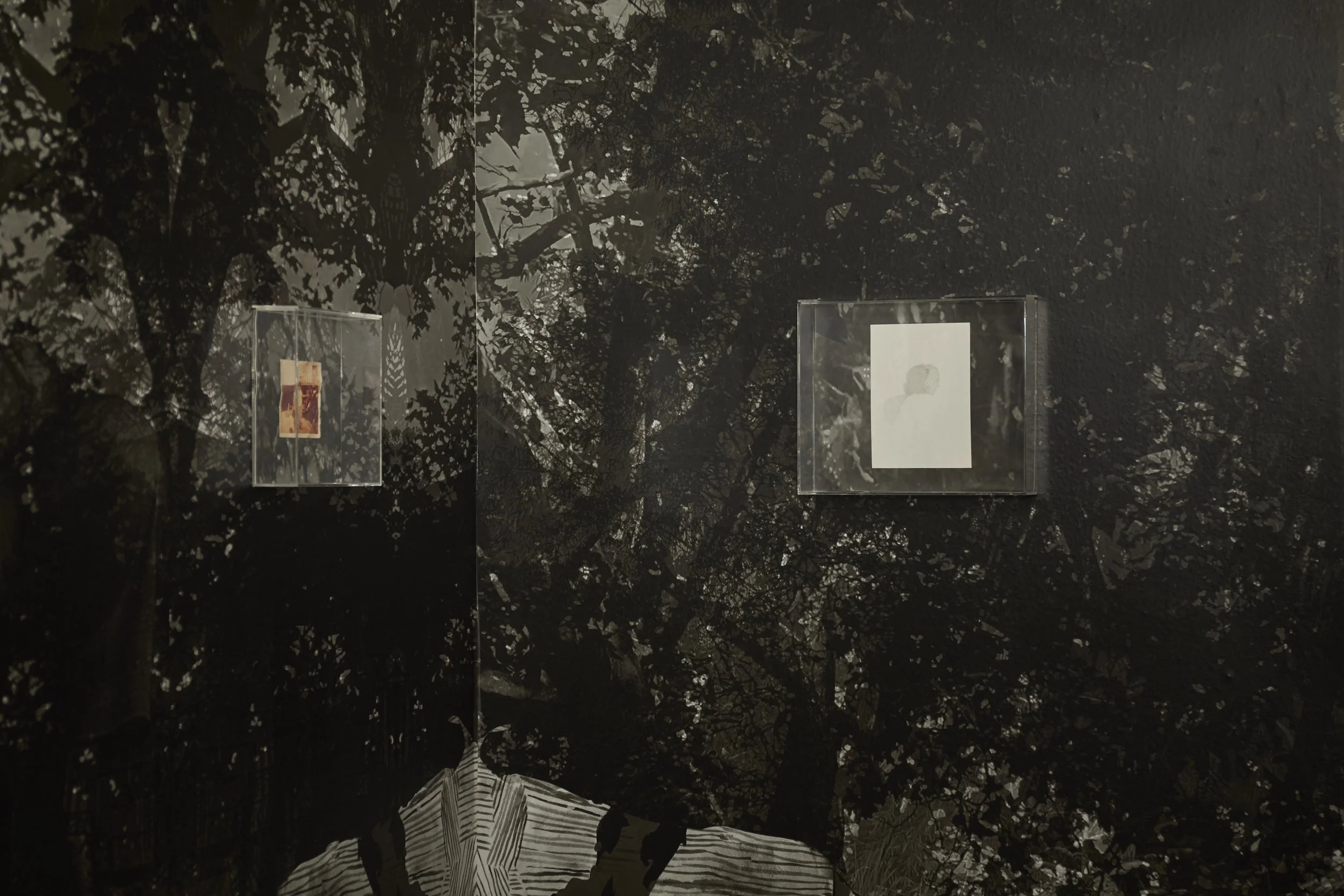 DAC_Installation_2026_CARLOS HERNANDEZ 2025_029.jpg