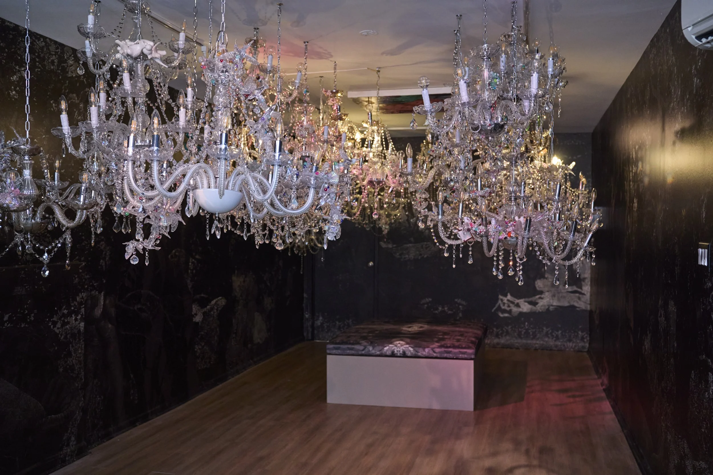 DAC_Installation_2026_CARLOS HERNANDEZ 2025_018.jpg