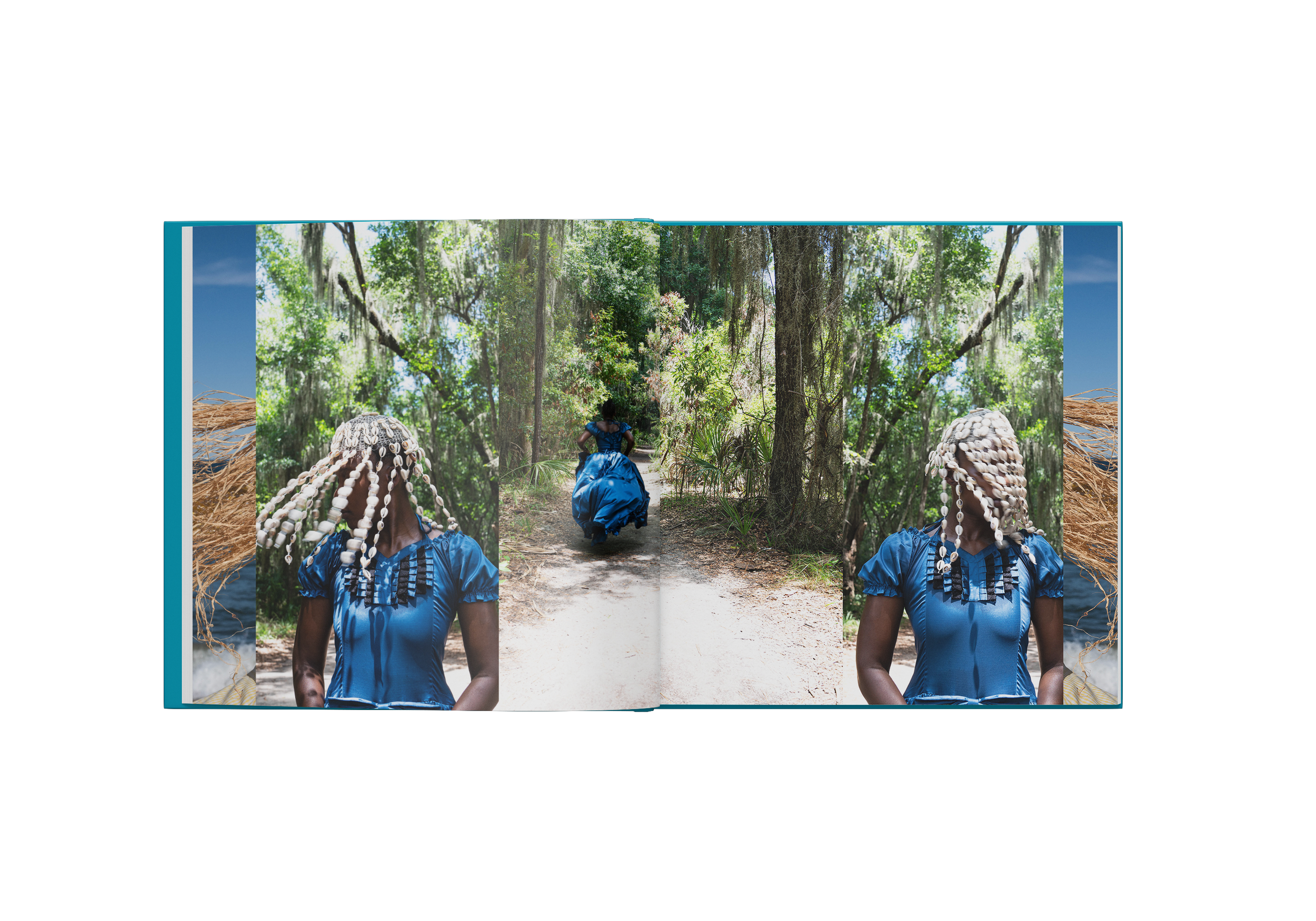 DelphineBook_Mockup_2.png