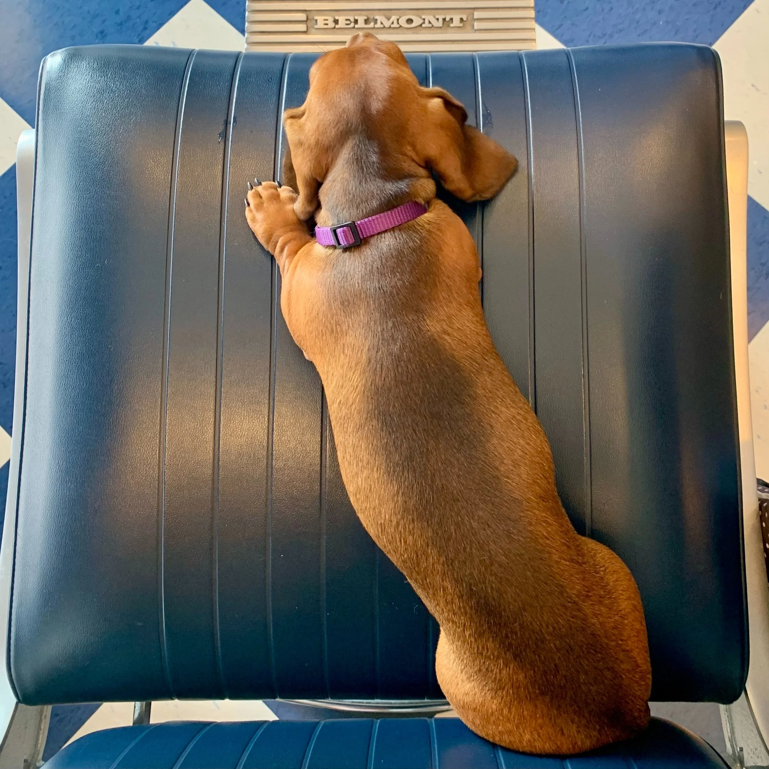 Charlie Barber Chair.jpg