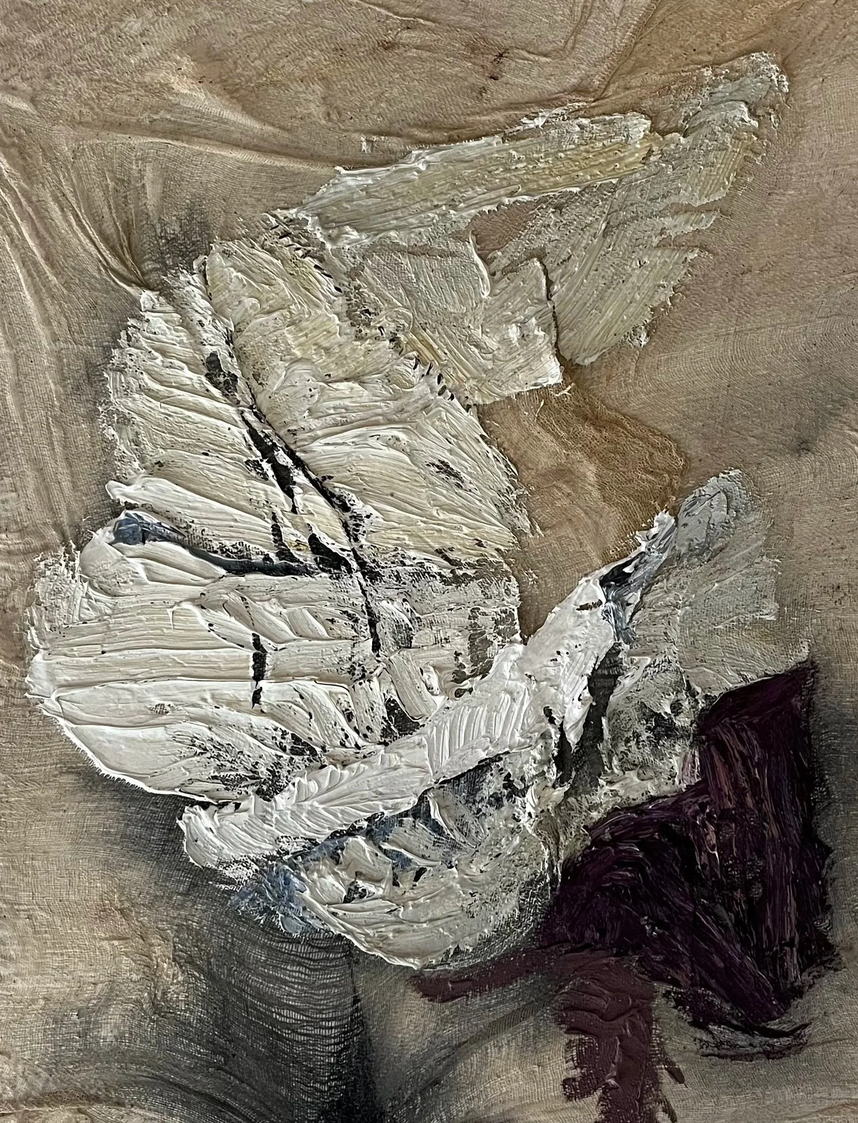 winged+detail.jpg