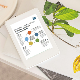 Reframing our work: The Oregon SATF Continuum Model (v.2 , 2025)