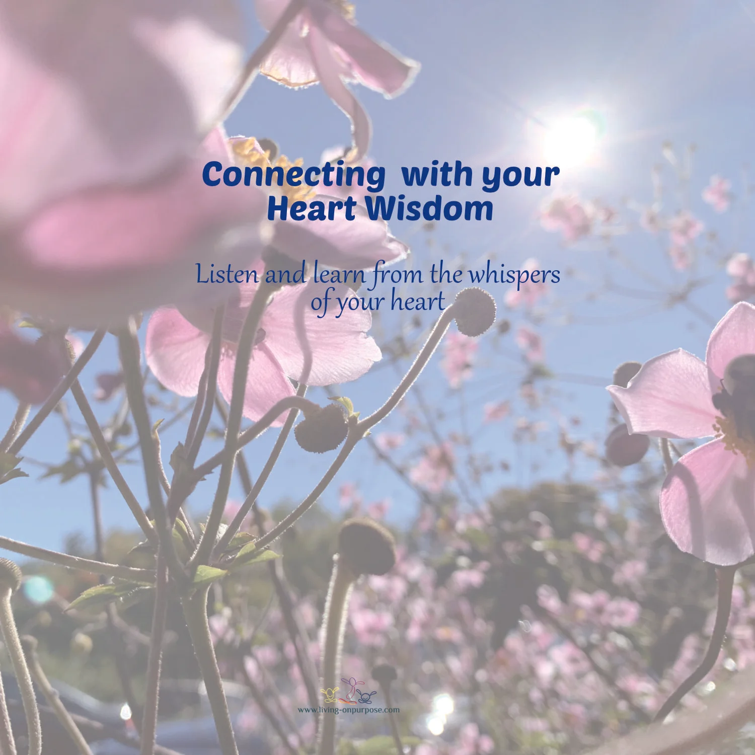 Connecting with your Heart Wisdom.jpg