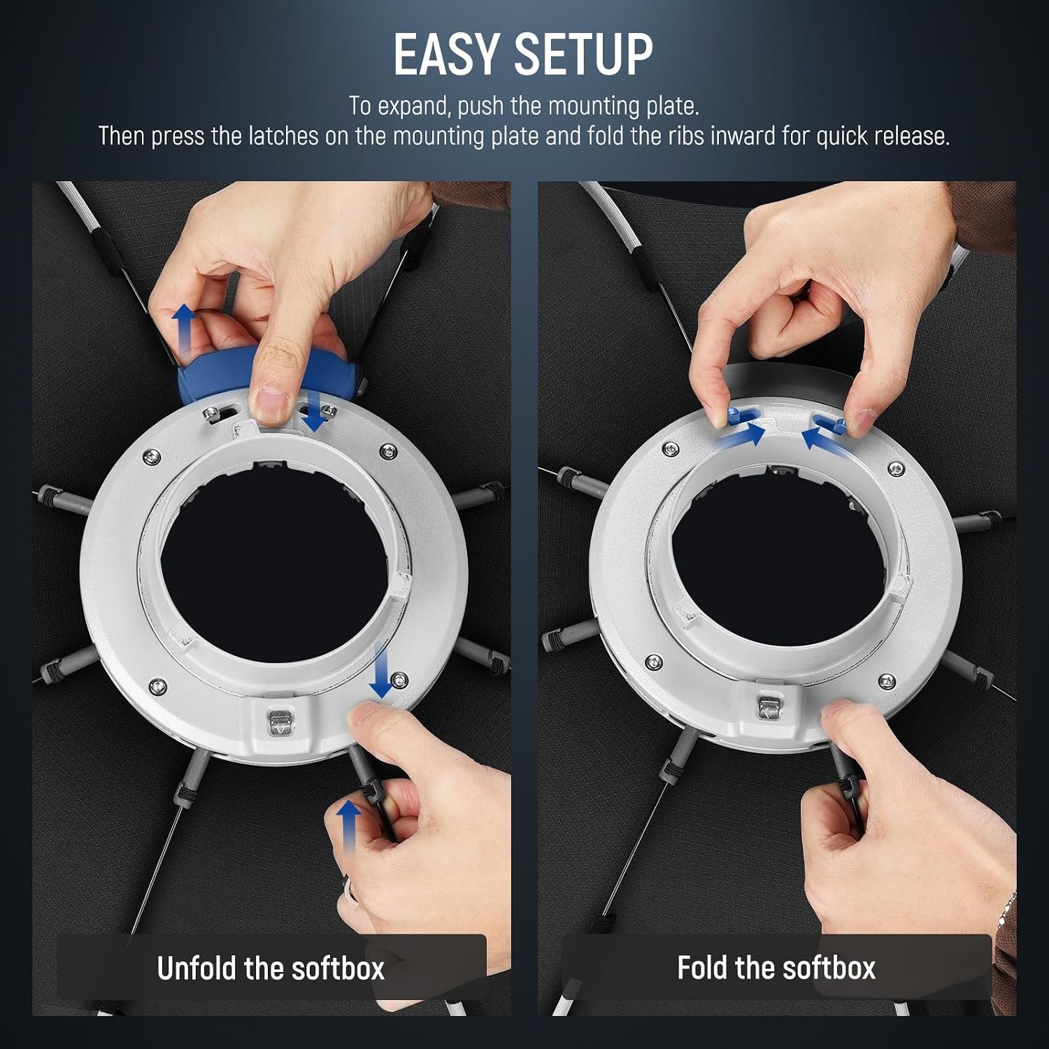 honeycombupdated2.jpg