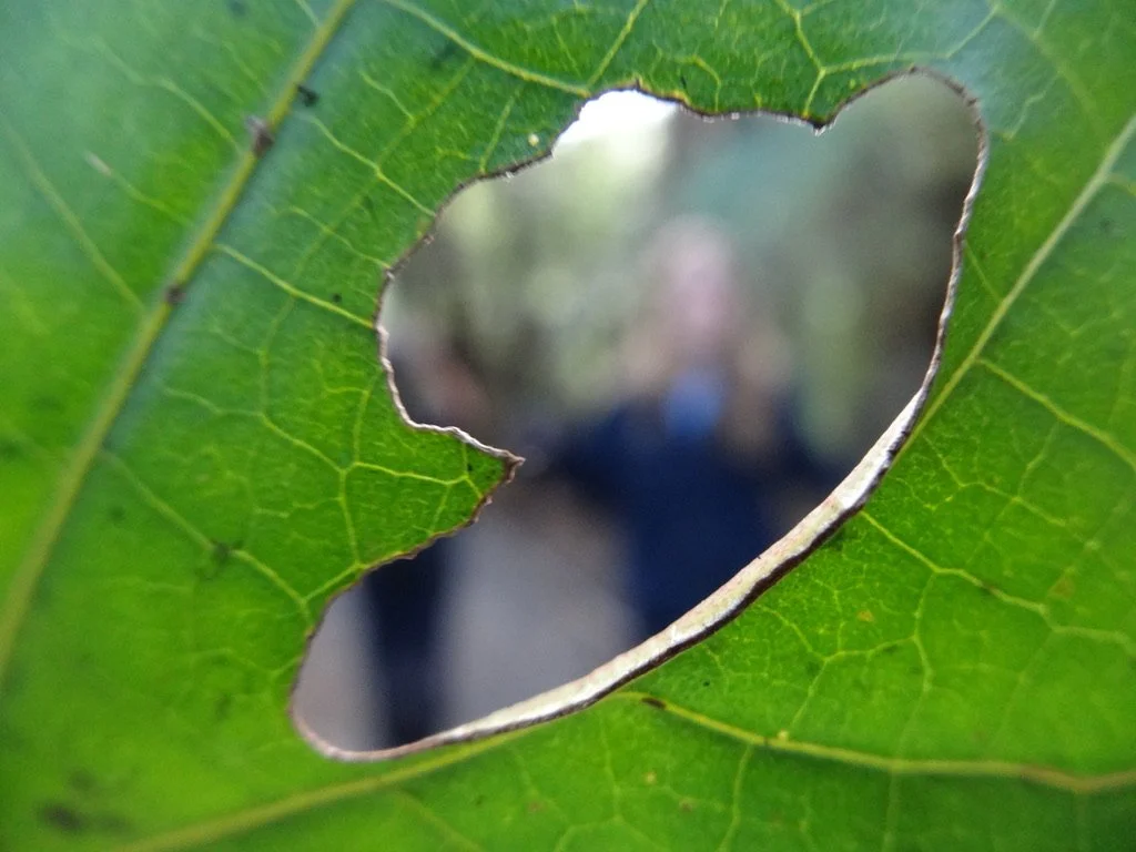 InSight Photographers