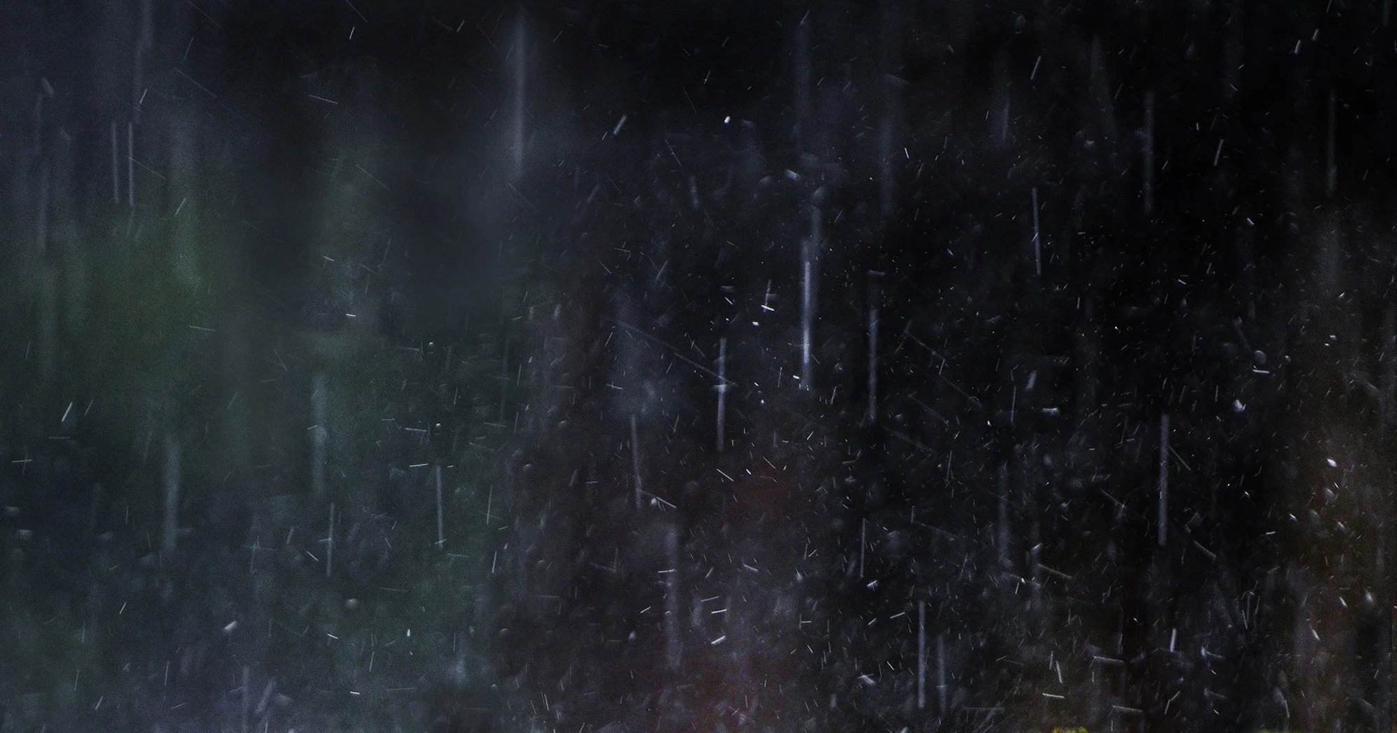 LANDING-205-3 copy.jpg