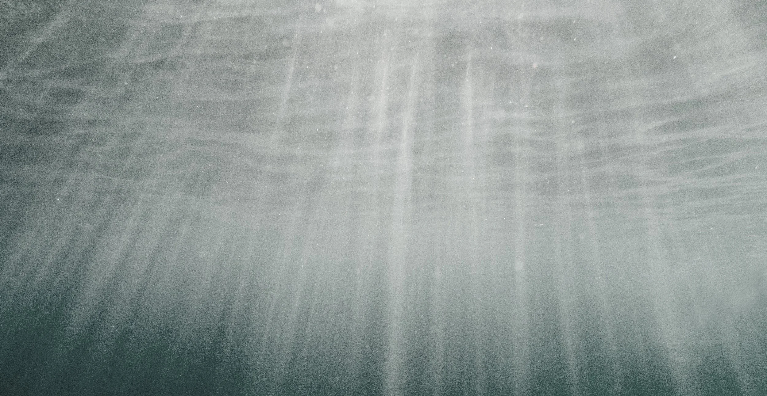 sea-v00.jpg