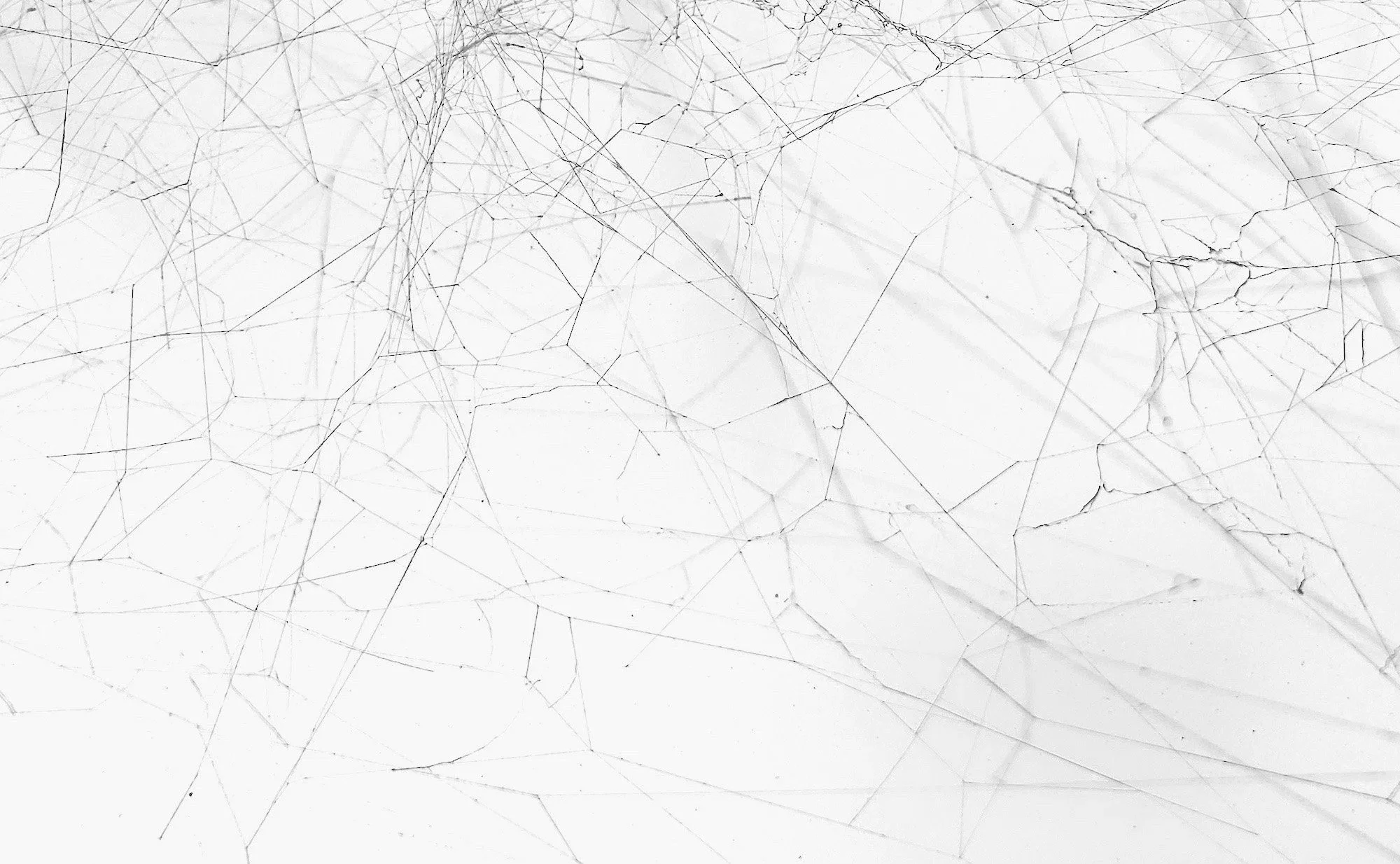 WEB-20.jpg