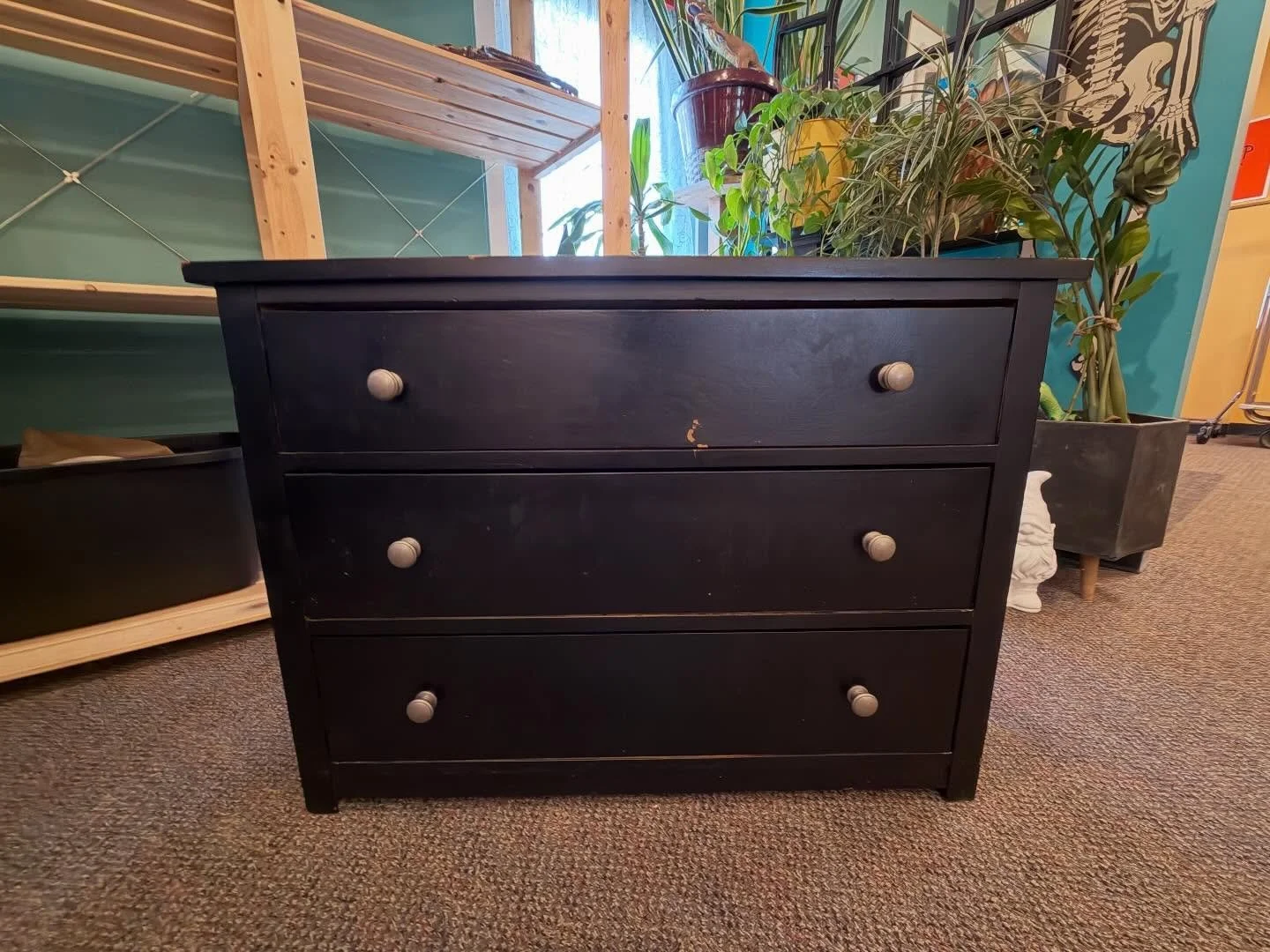 Someone was looking for this guy the day after it sold, it has returned and needs to be rehoused. That&rsquo;s Kismet 😊