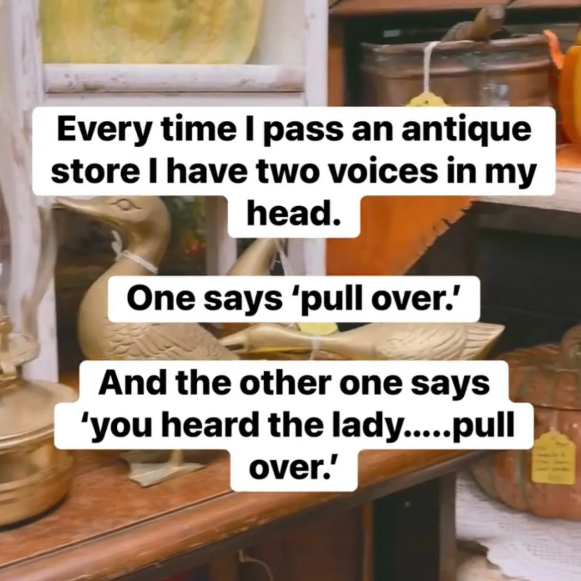 Smart ladies 🤪