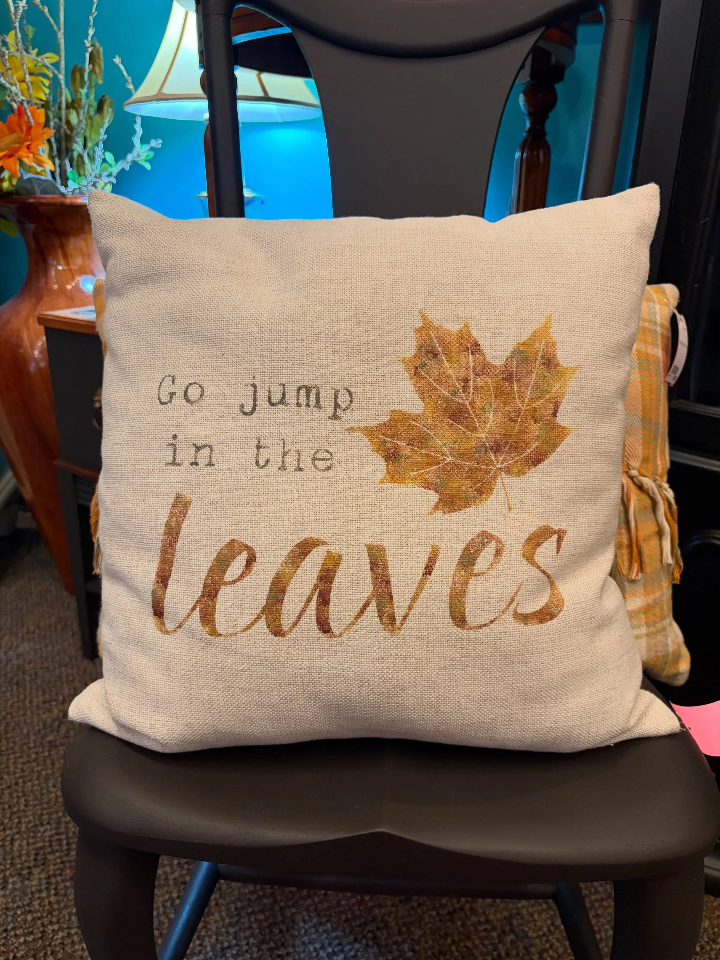 POV, is this pillow saying Go enjoy a beautiful fall day or Minnesota nice for go F yourself?
