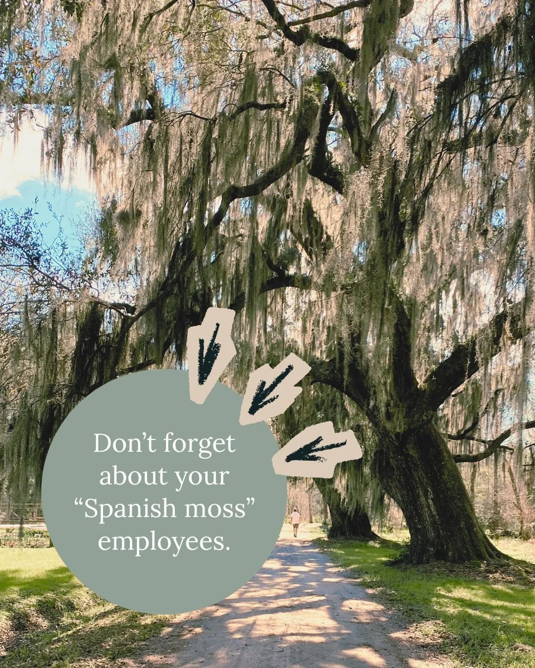 On my recent trip to the South, I kept looking up at the Spanish moss hanging from the trees. To me, it was like something out of a gothic fairytale. To a local, it&rsquo;s the chigger-filled stuff that drops on your windshield.

That&rsquo;s what fa