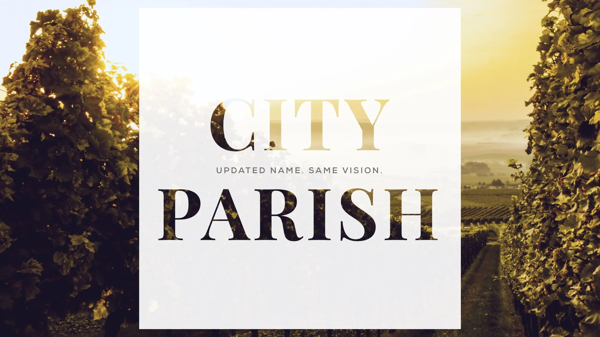 Updated Name. Same Vision.