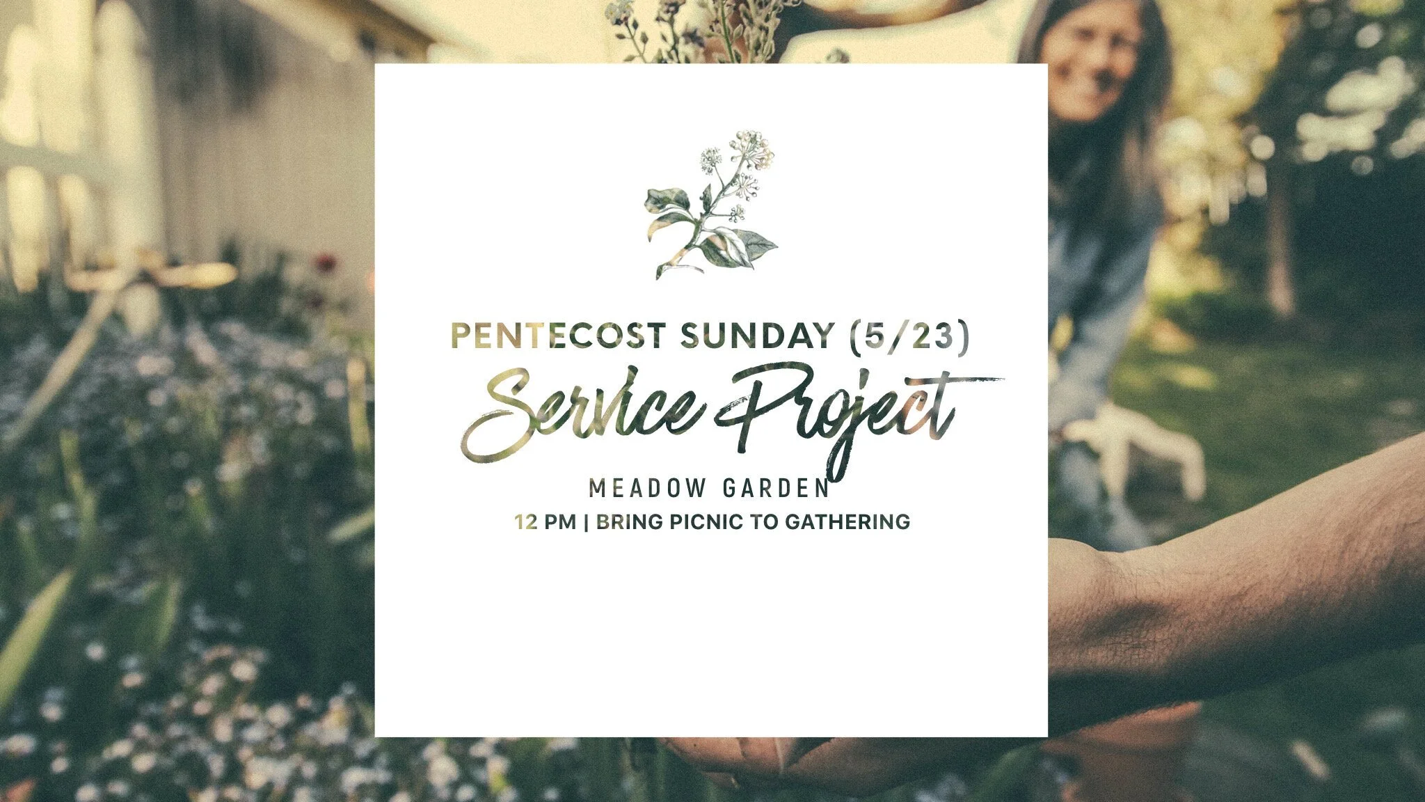 Pentecost Sunday Service Project