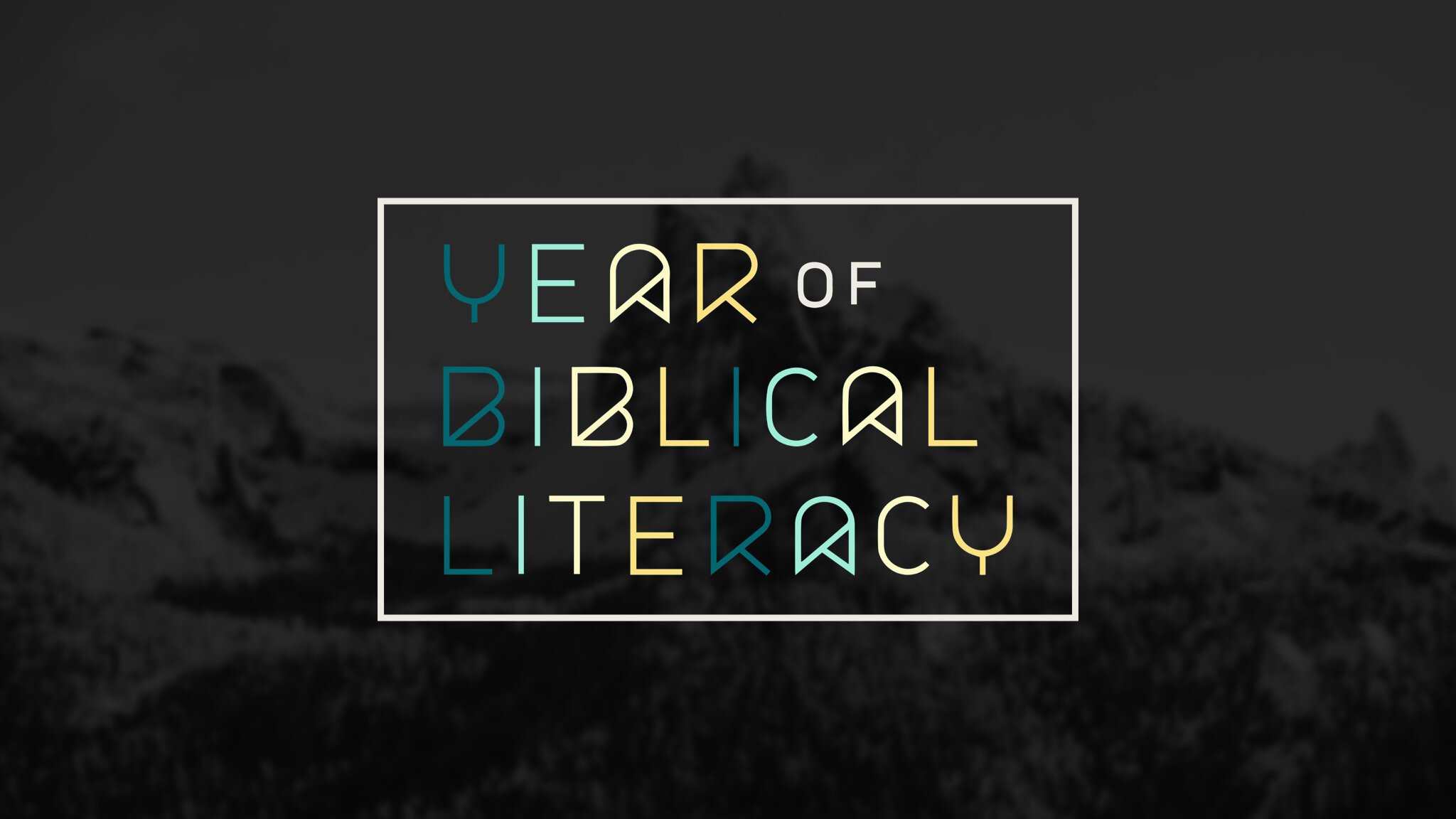 Year of Biblical Literacy
