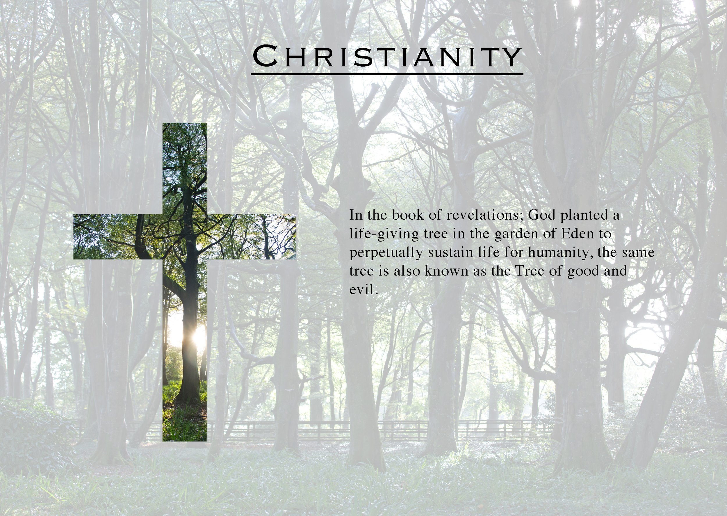 Untitled-1christianity.jpg