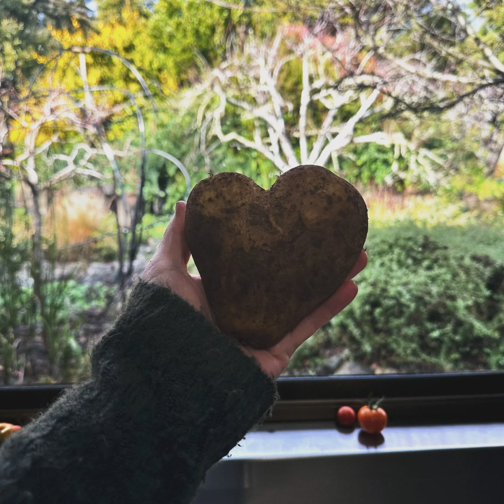 Harvesting Joy: A Summer Celebration of Food, Music &amp; Community