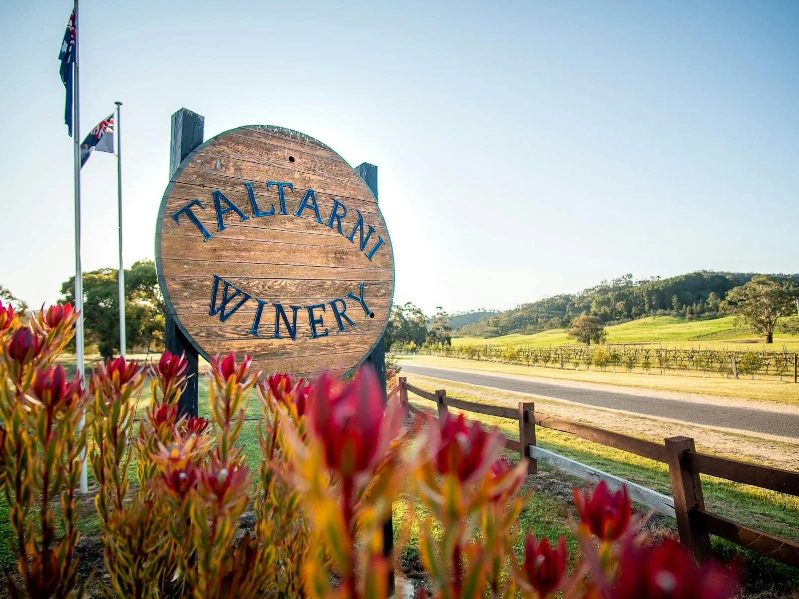 Live Music Sundays with Taltarni Vineyards 
