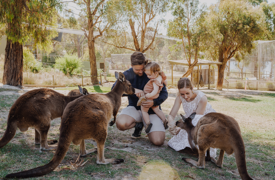 Twilights at Ballarat Wildlife Park