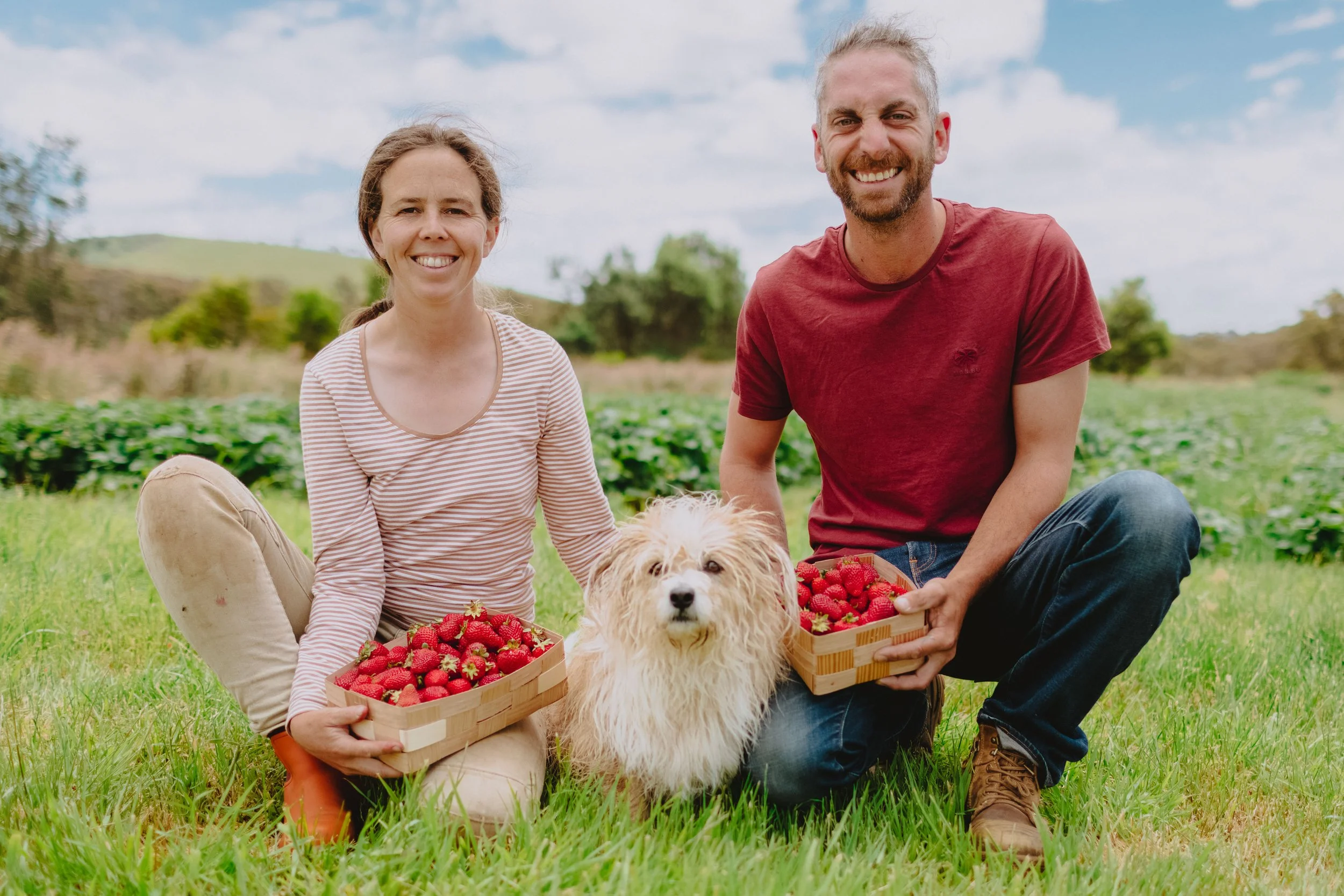 Central Highlands Growers & Producers Hub