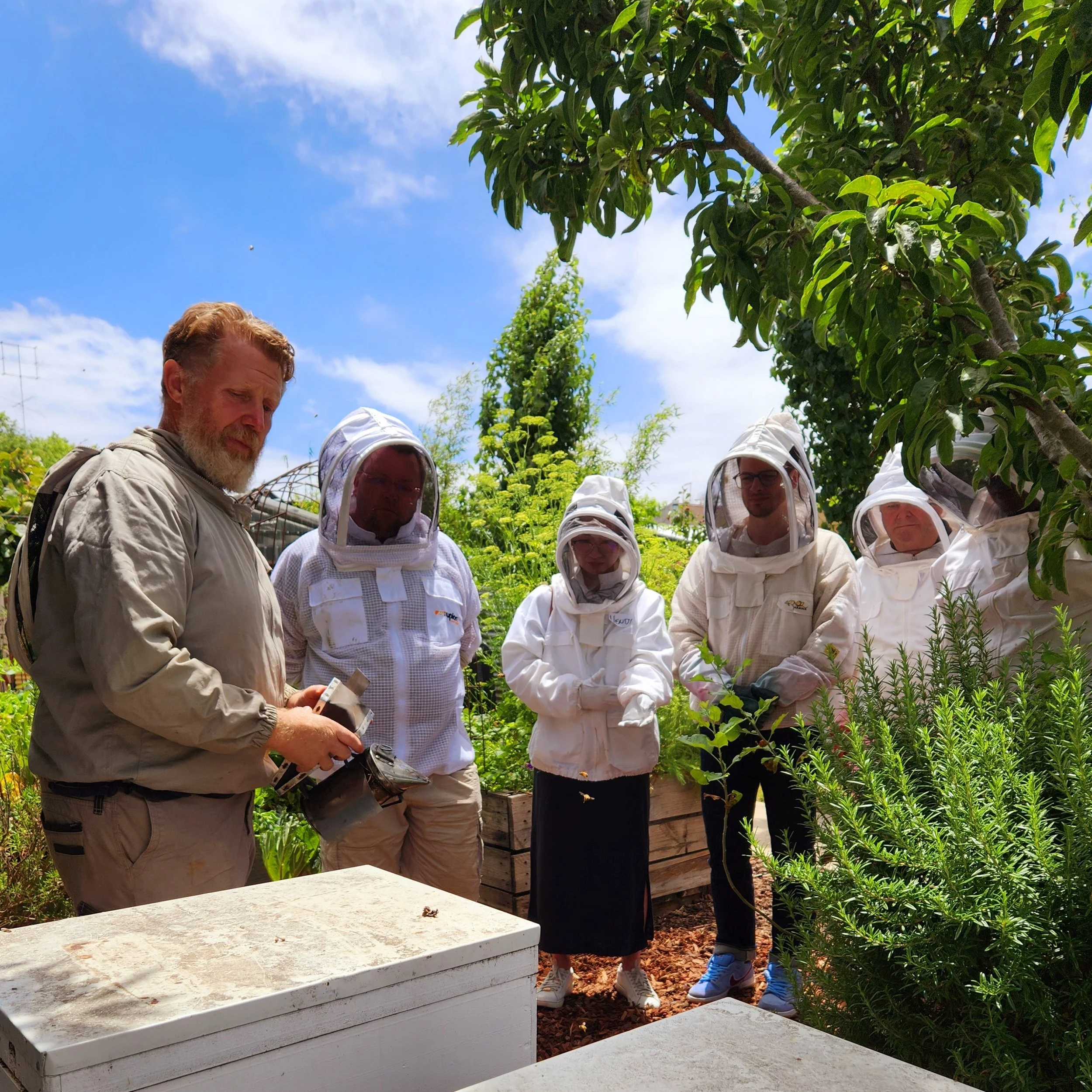 Backyard Beekeeping Ballarat — Central Highlands Growers & Producers Hub