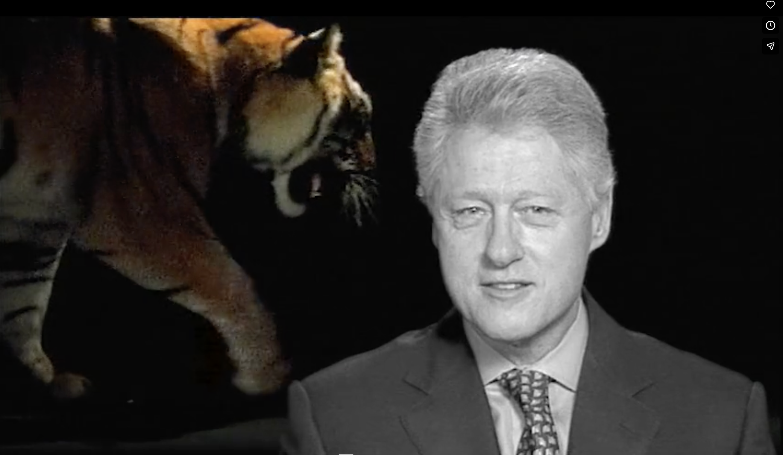 Wildlife Conservation Society: Tiger Testimonials