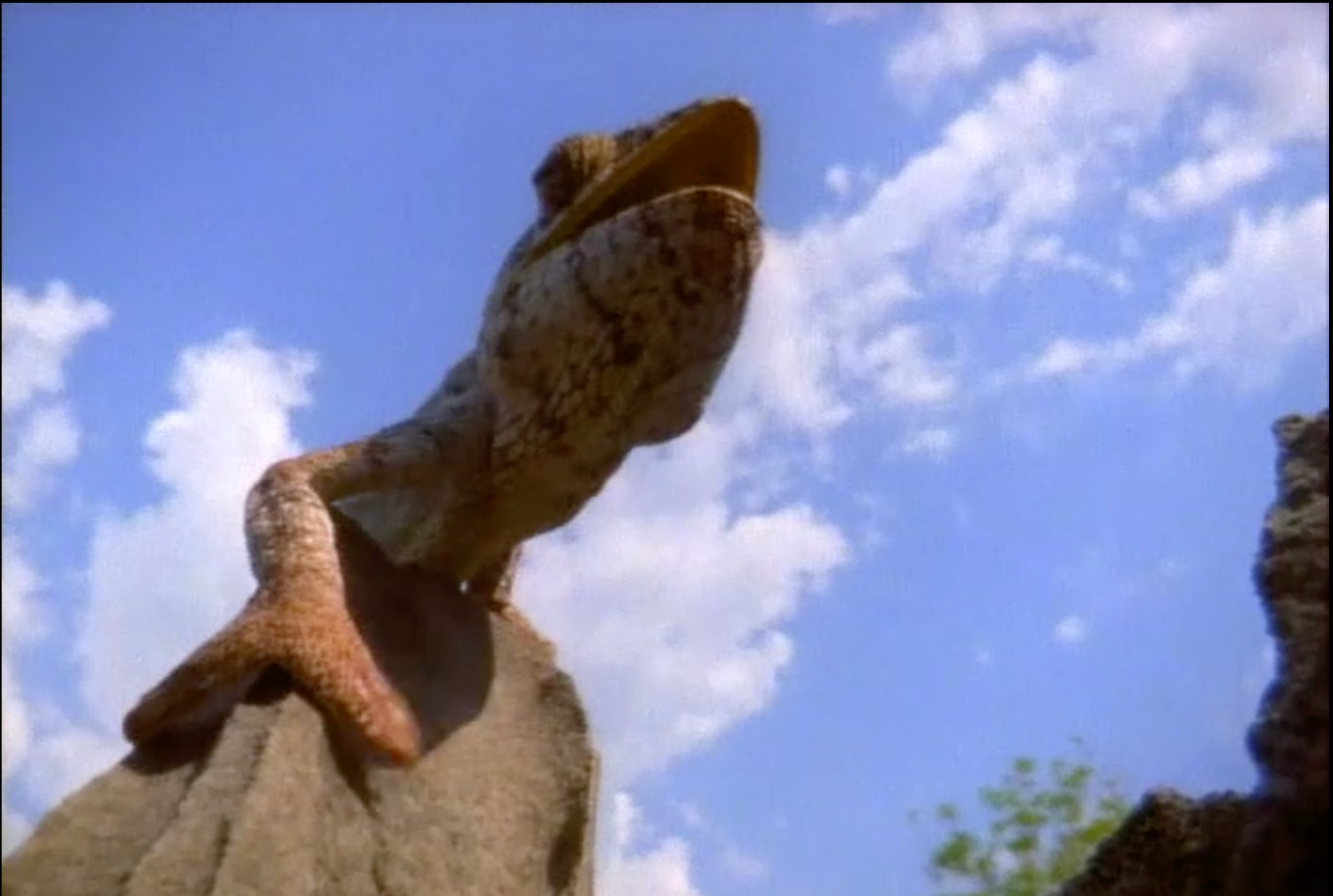 Madagascar: A World Apart