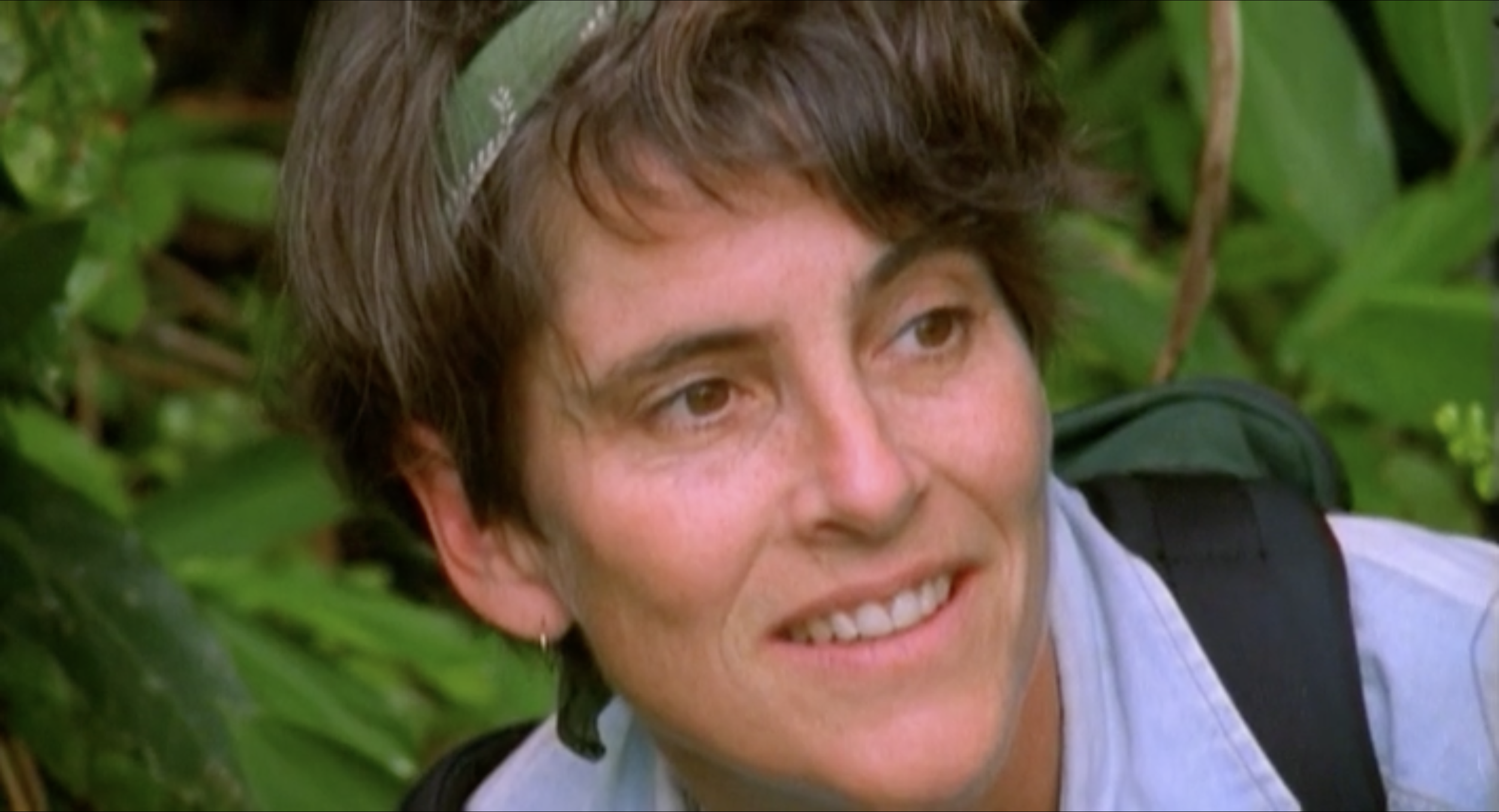 Wildlife Conservation Society: Saving Africa’s Forests