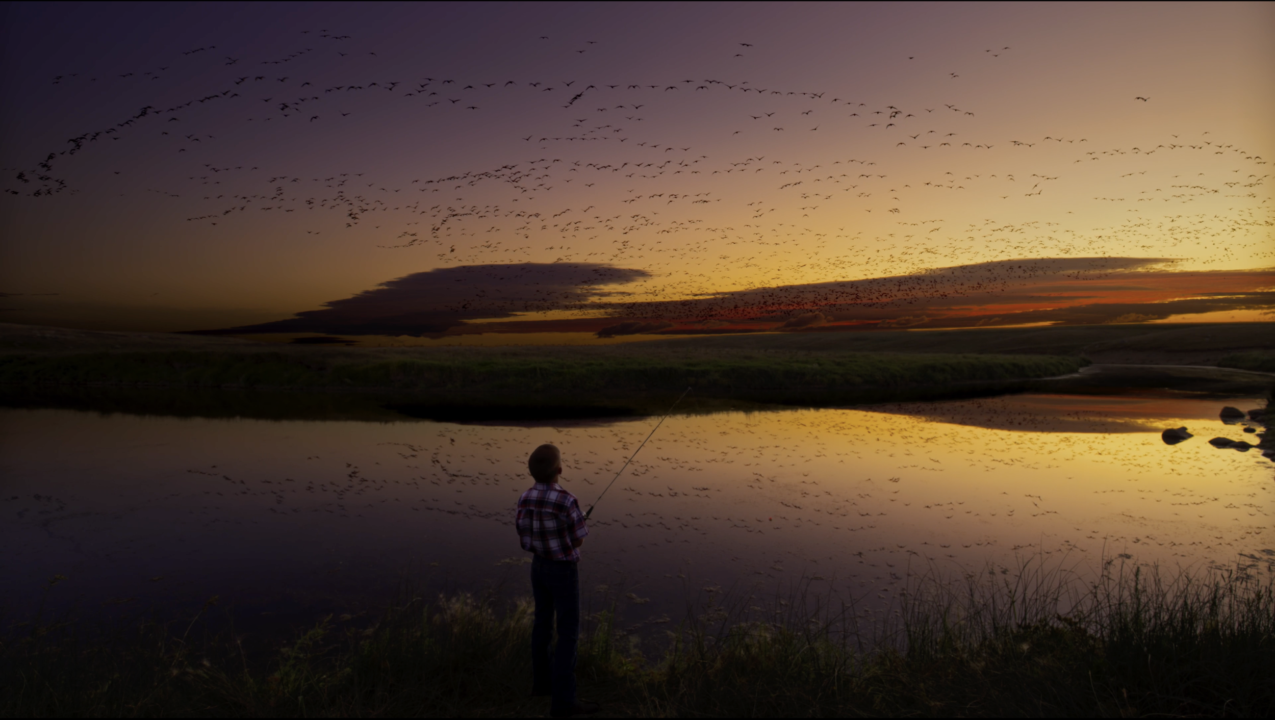 Wings Over Water
