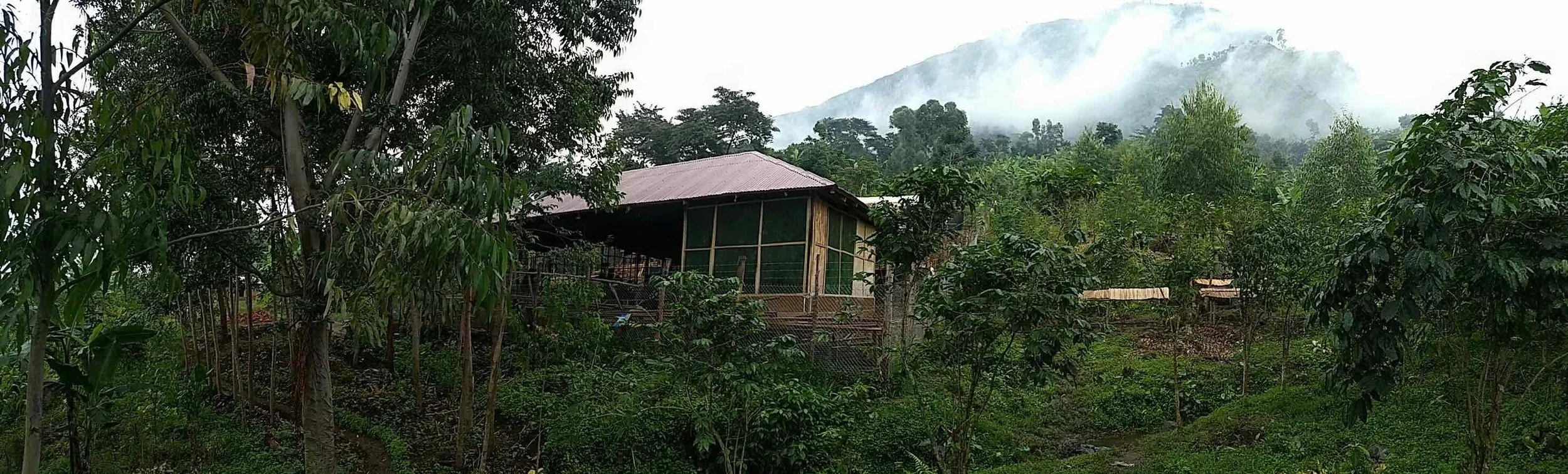 TheCoffeeGArdens_Uganda_1.jpg