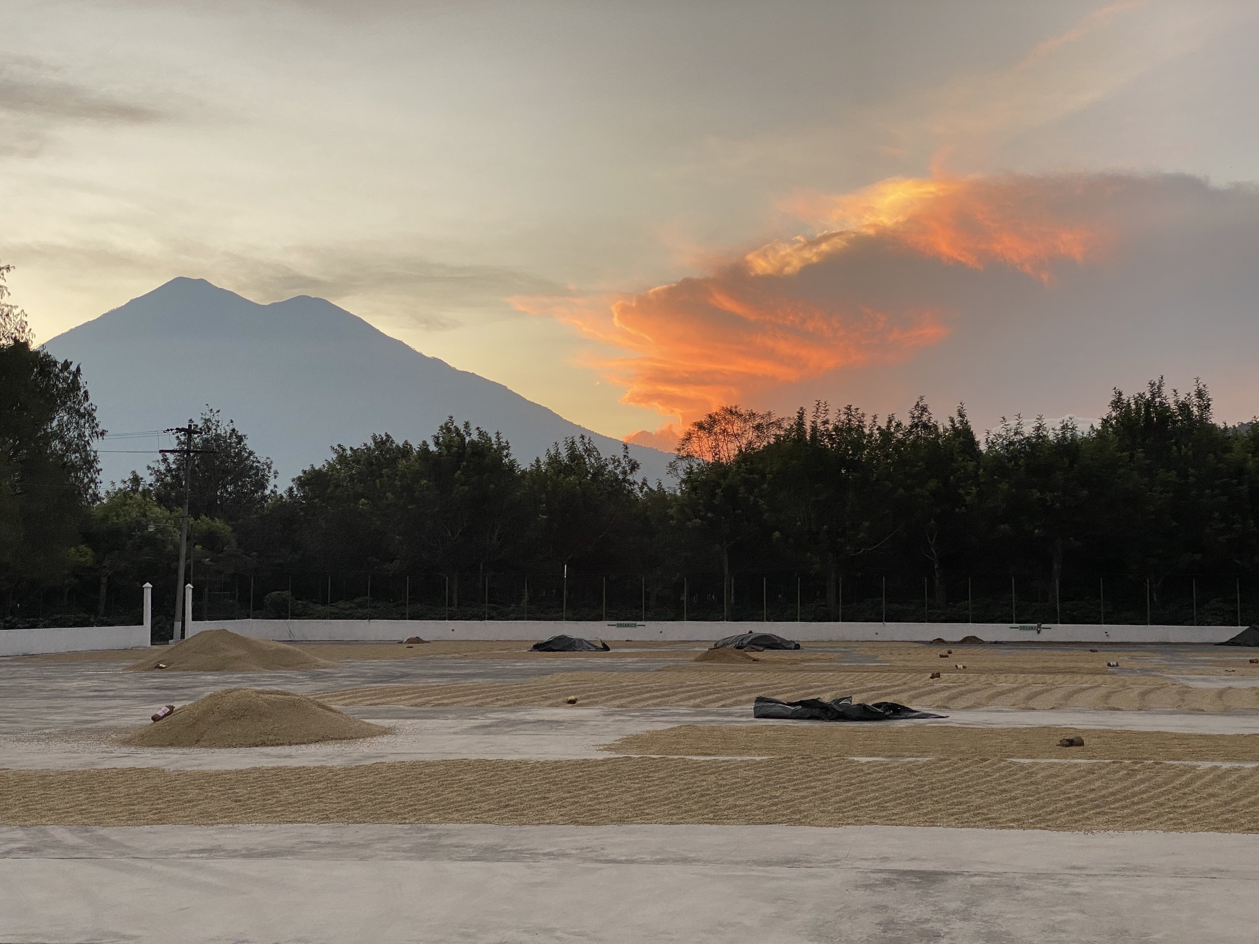 Guatemala_ElPanal_General_IMG_5189.jpg