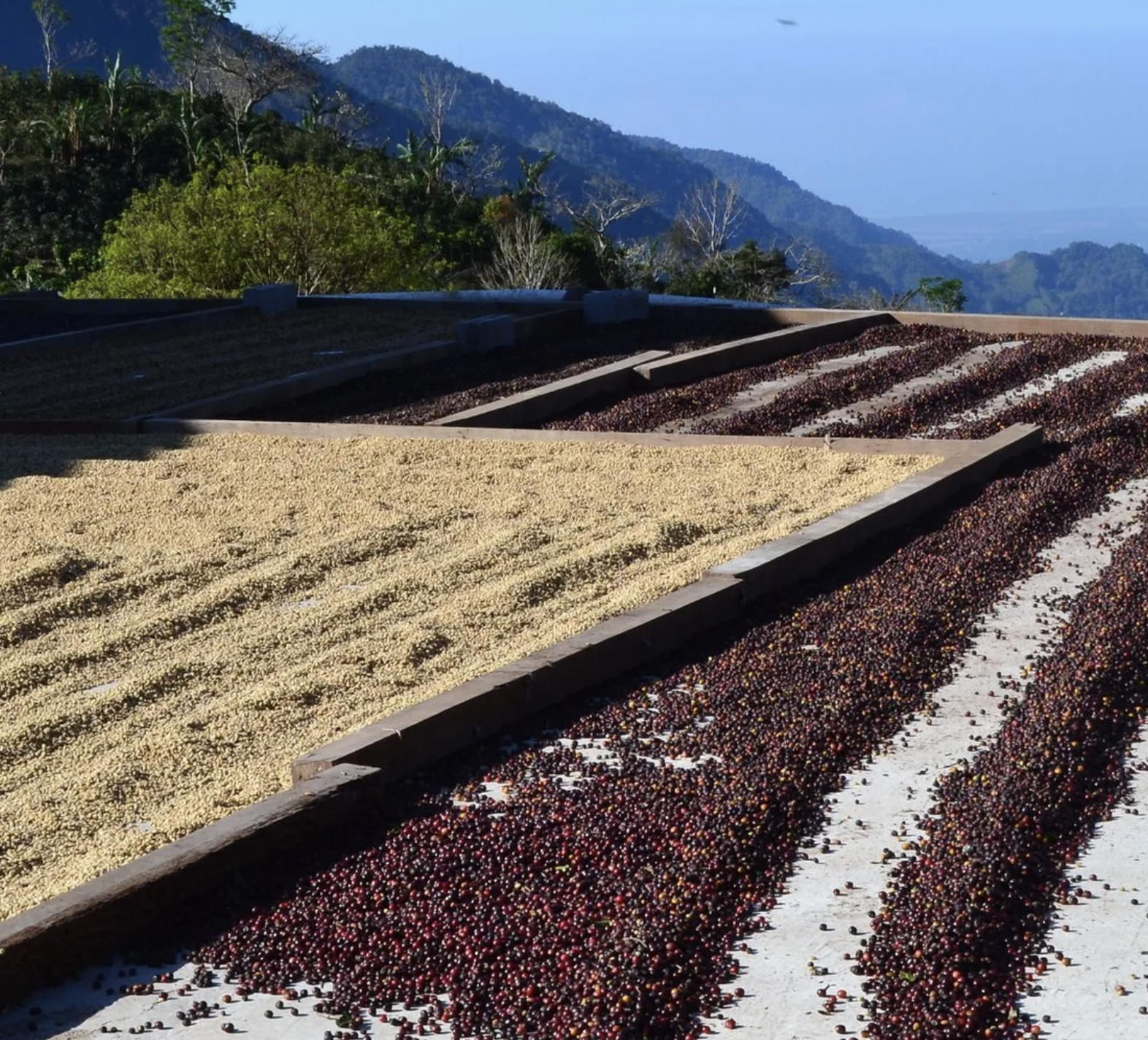 Screenshot 2026-01-21 at 09.47.44.png