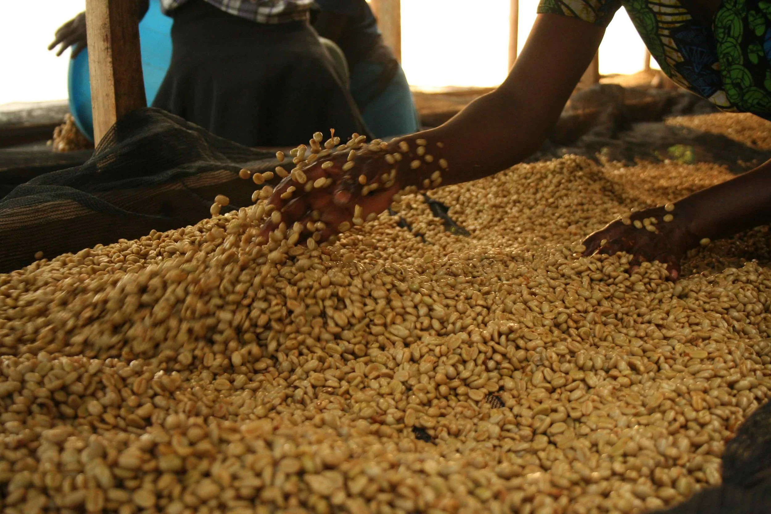 TheCoffeeGArdens_Uganda_2.jpg