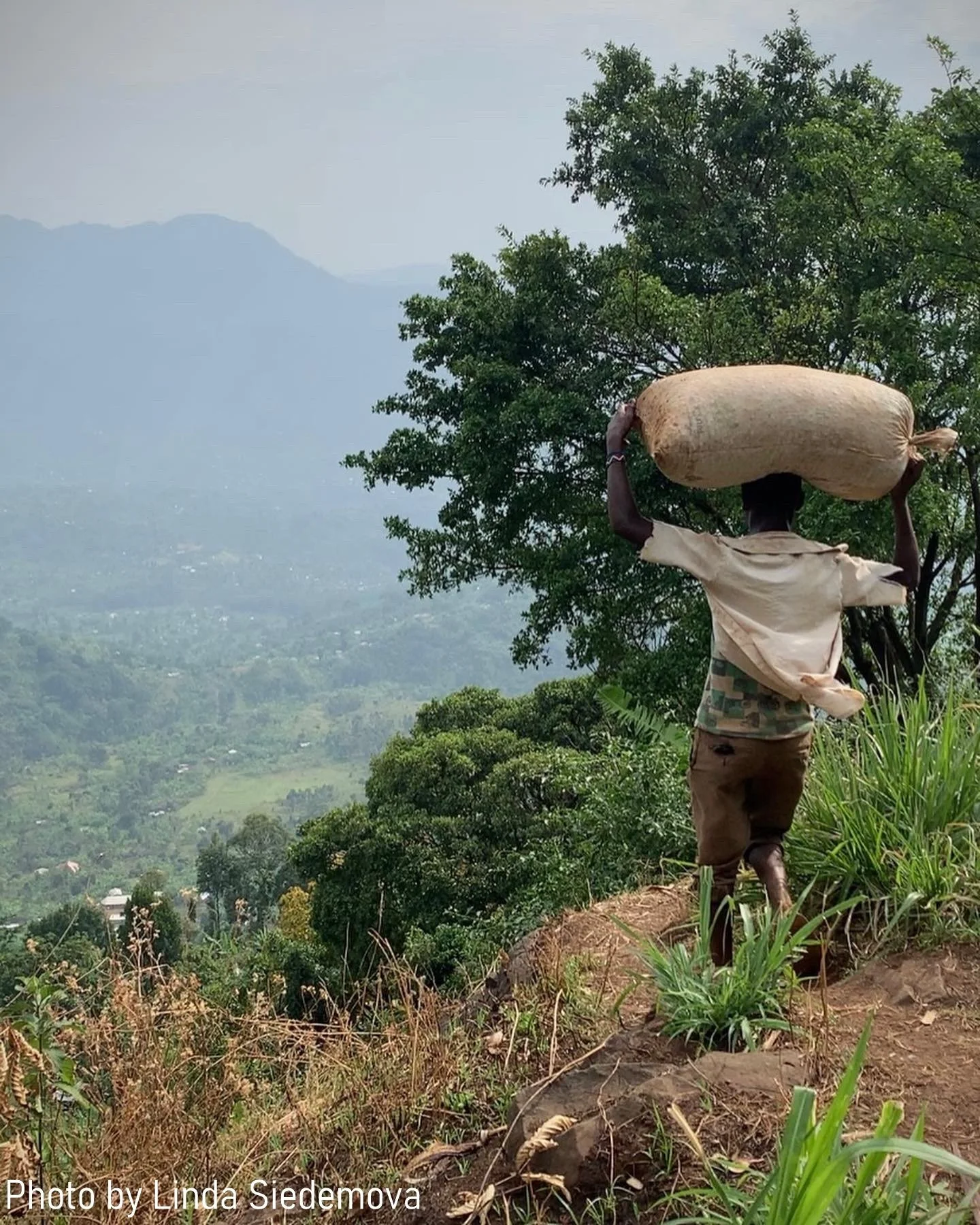 TheCoffeeGArdens_Uganda_4.jpg