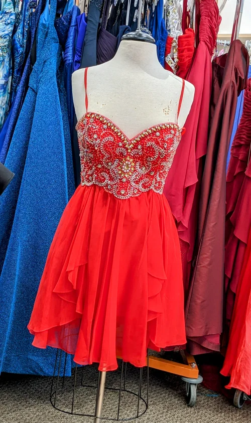 Need a Dress?  Fairy Godmothers of Rochester