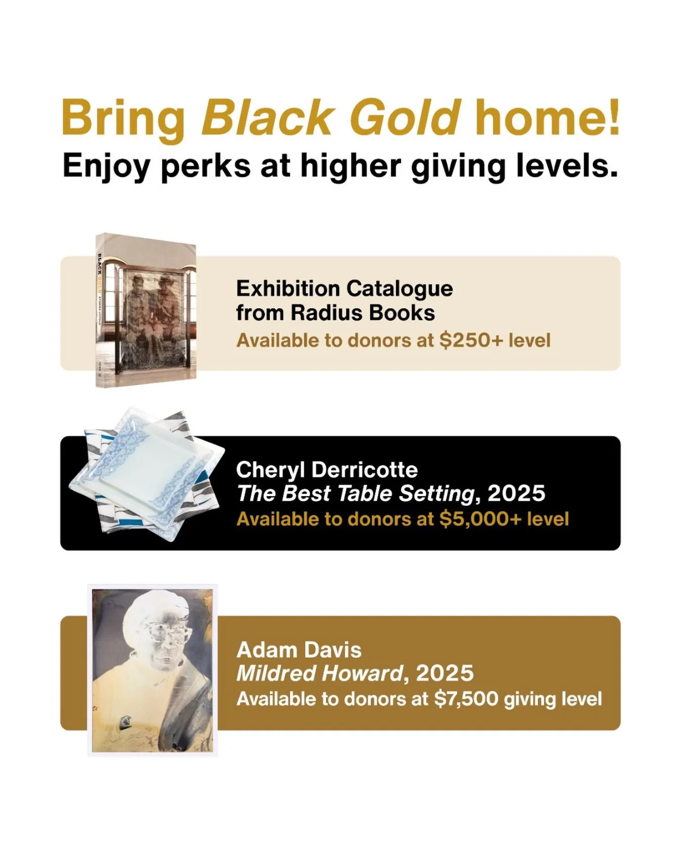 ✨ Support FOR-SITE with a donation of $250 or more and receive a complimentary copy of the upcoming 𝗕𝗹𝗮𝗰𝗸 𝗚𝗼𝗹𝗱: 𝗦𝘁𝗼𝗿𝗶𝗲𝘀 𝗨𝗻𝘁𝗼𝗹𝗱 𝗲𝘅𝗵𝗶𝗯𝗶𝘁𝗶𝗼𝗻 𝗰𝗮𝘁𝗮𝗹𝗼𝗴𝘂𝗲, published by @radius.books, along with other special gifts f