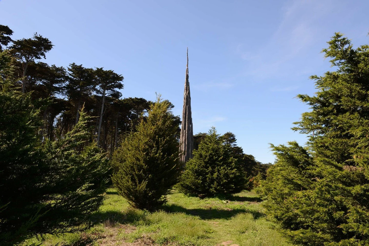 In 2008, #AndyGoldsworthy completed his first of four permanent works in the Presidio of San Francisco&mdash;Spire, a vertical assembly of felled eucalyptus trunks that draws the forest floor upward into a singular, improbable form.

The work reflect