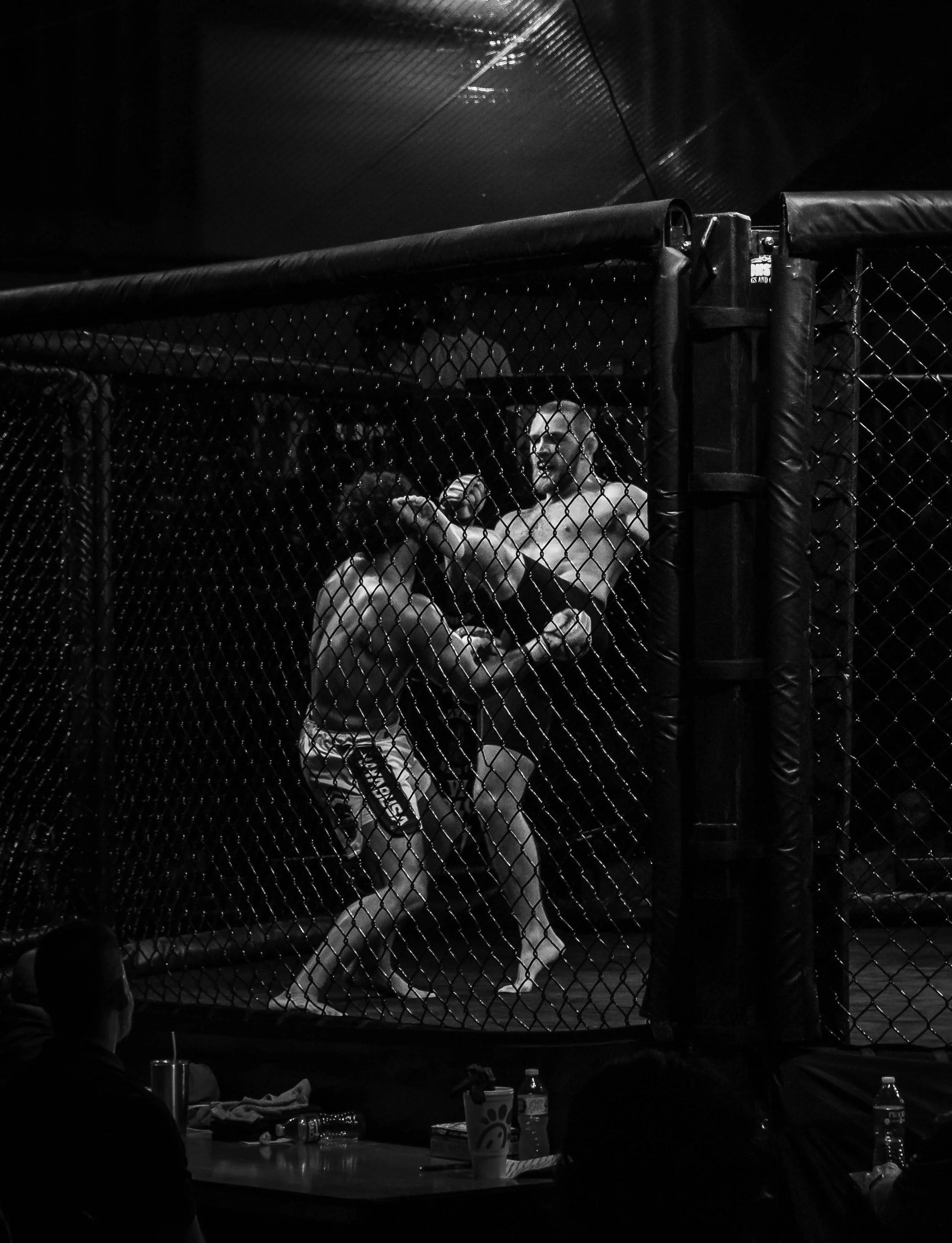 Showcase_MMA-2.jpg