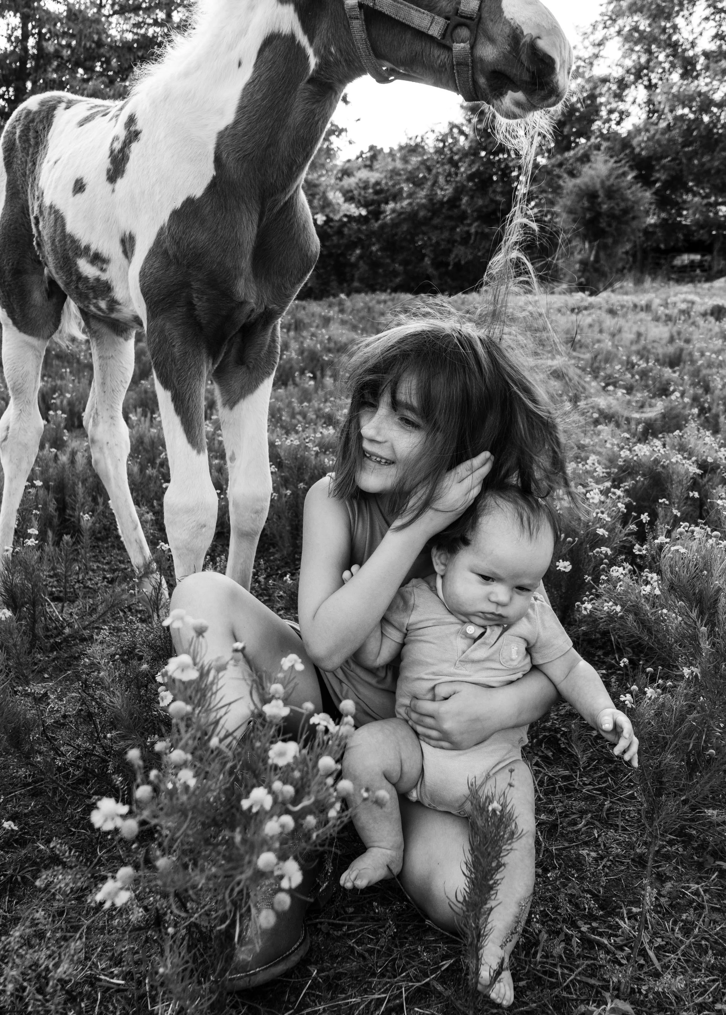 babyhorseshoot-15.jpg