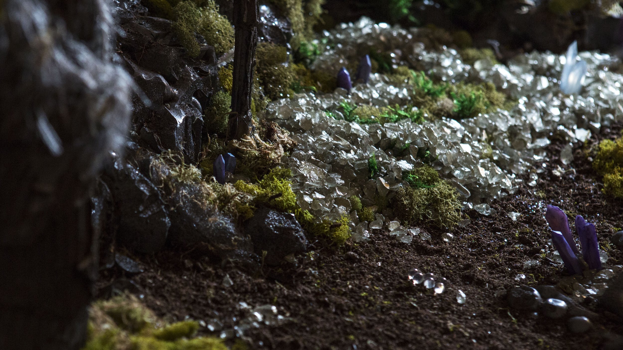 Chrysalis_FilmStill_1.jpg