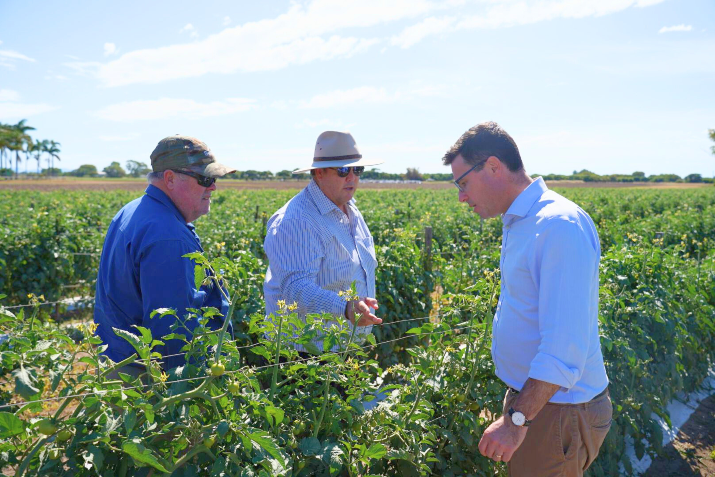 Industry Slugged With Labor’s Tax Trifecta